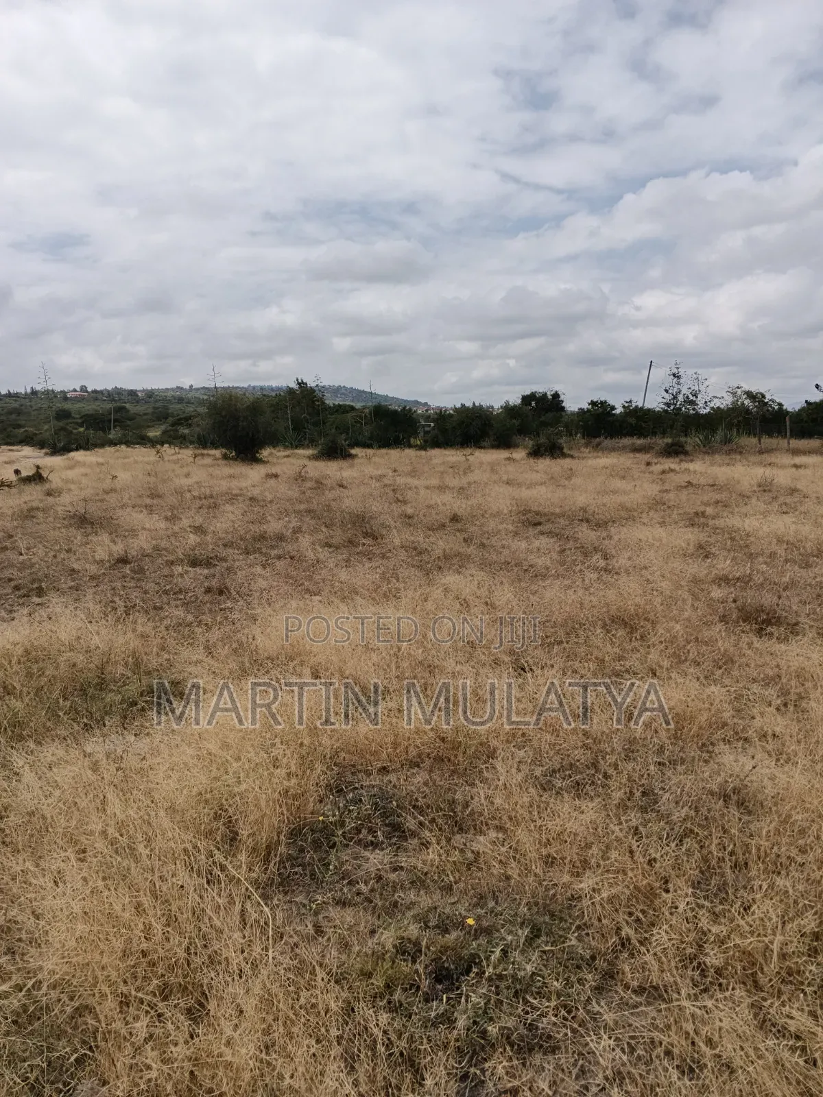 Plot for Sell in Junction