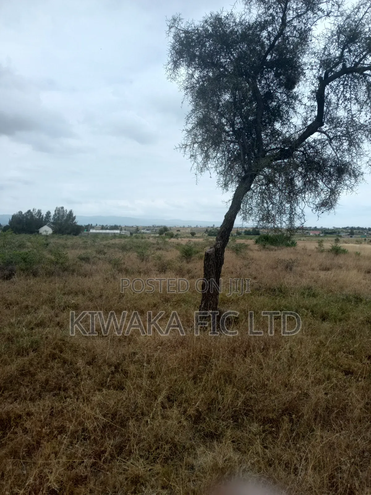 57 Acres of Land in Malaa Machakos County in Malaa