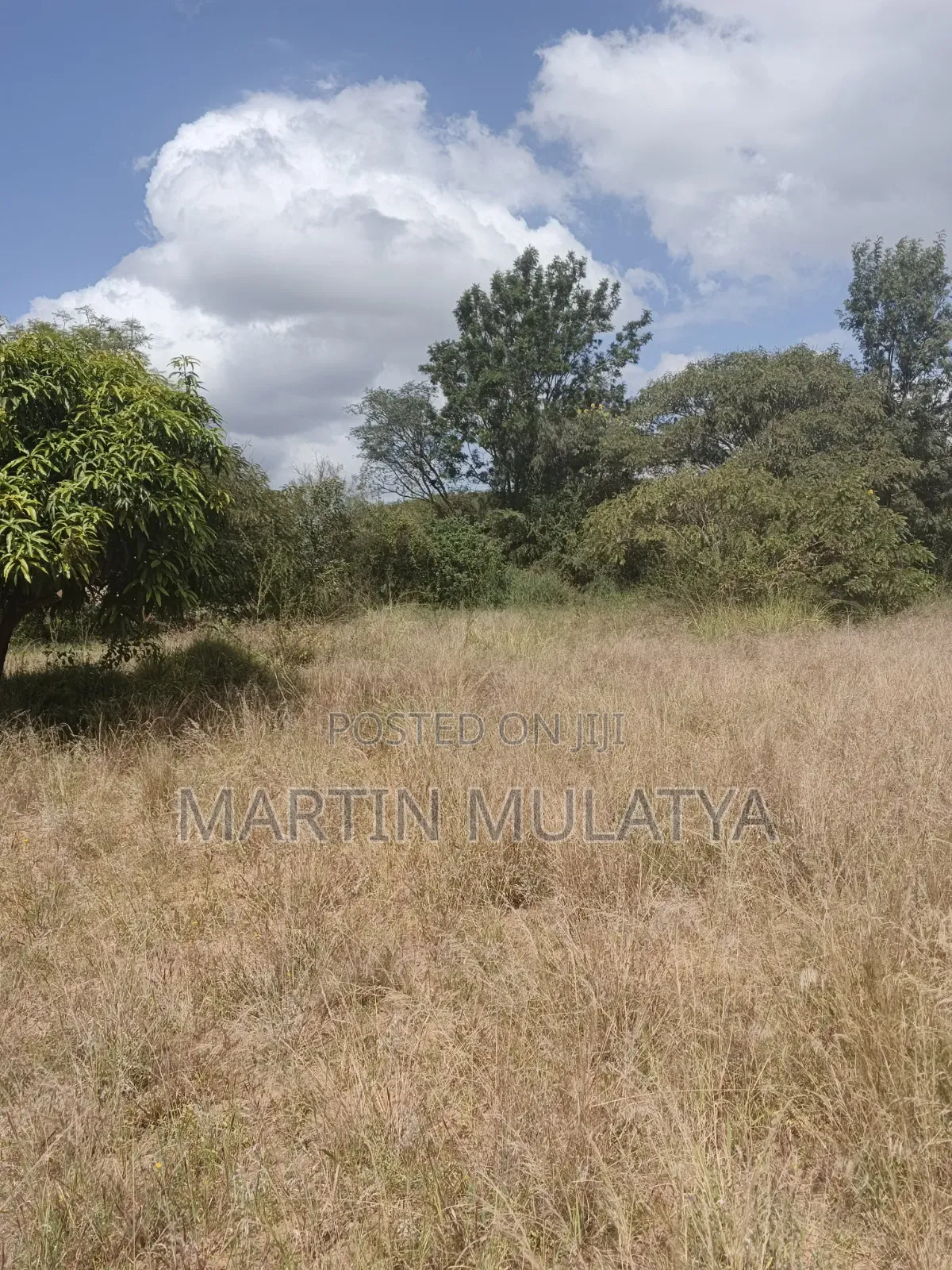 Land For Sell in Junction