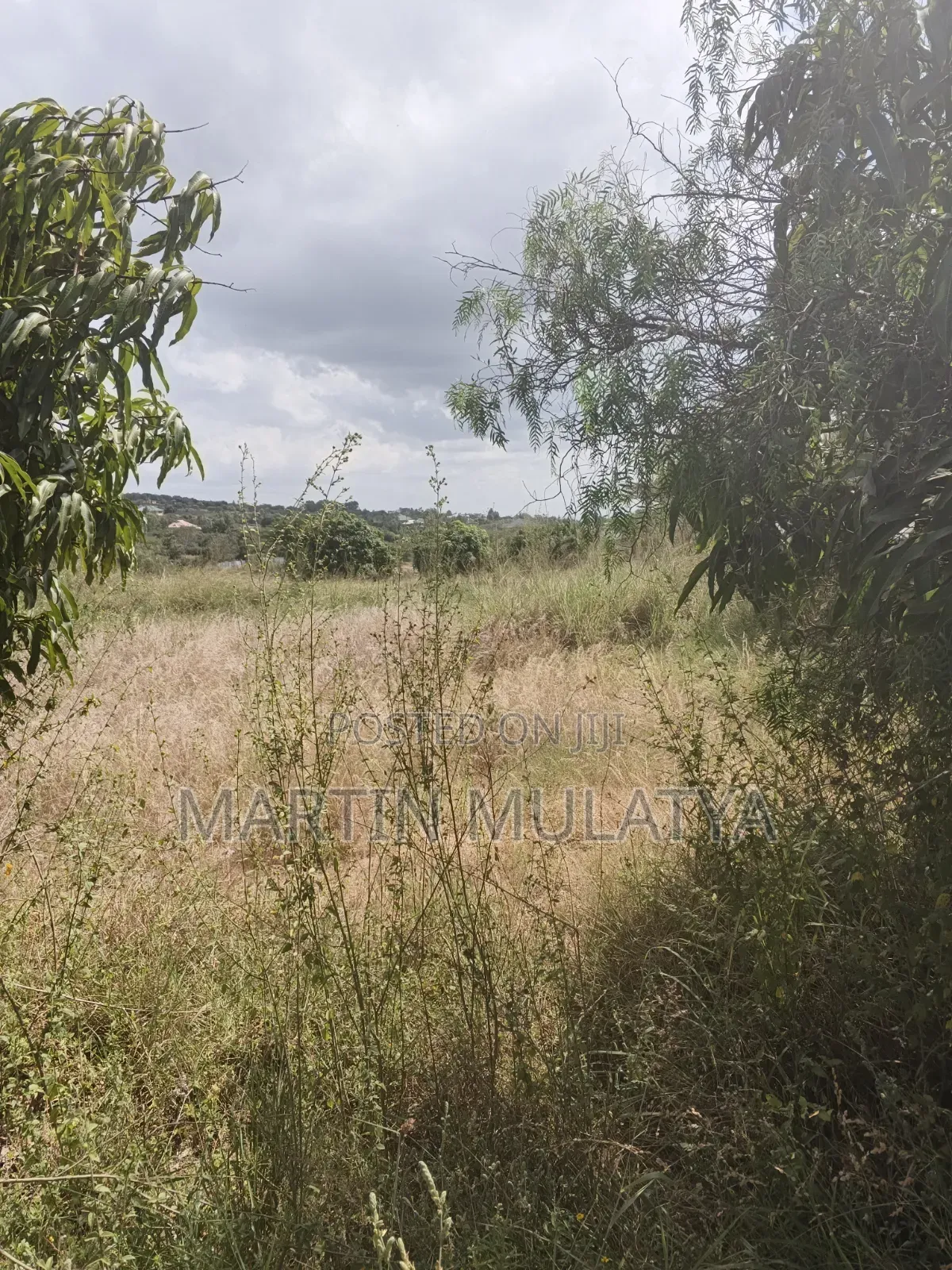Land For Sell in Junction