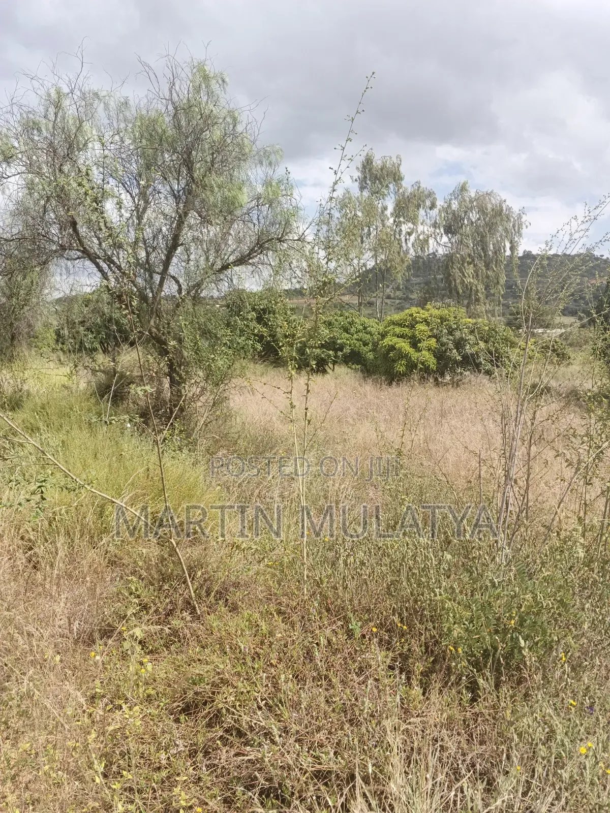 Land For Sell in Junction