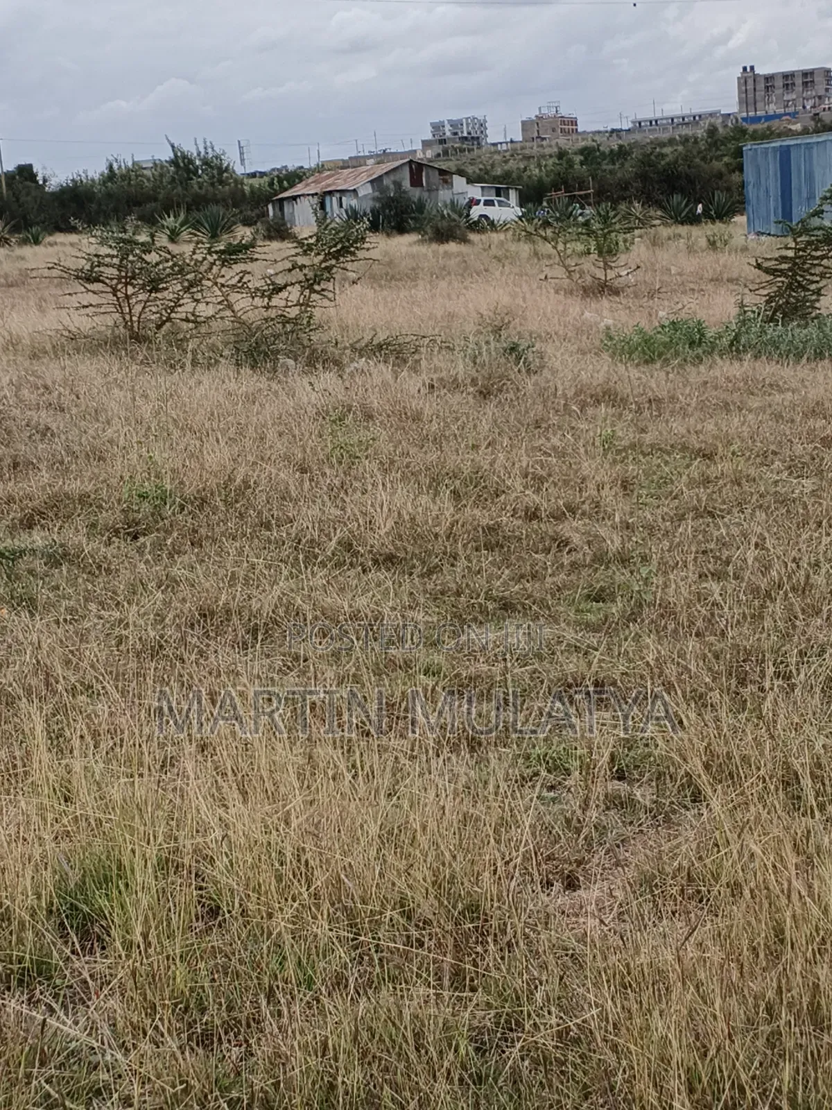 Plot for Sell in Junction