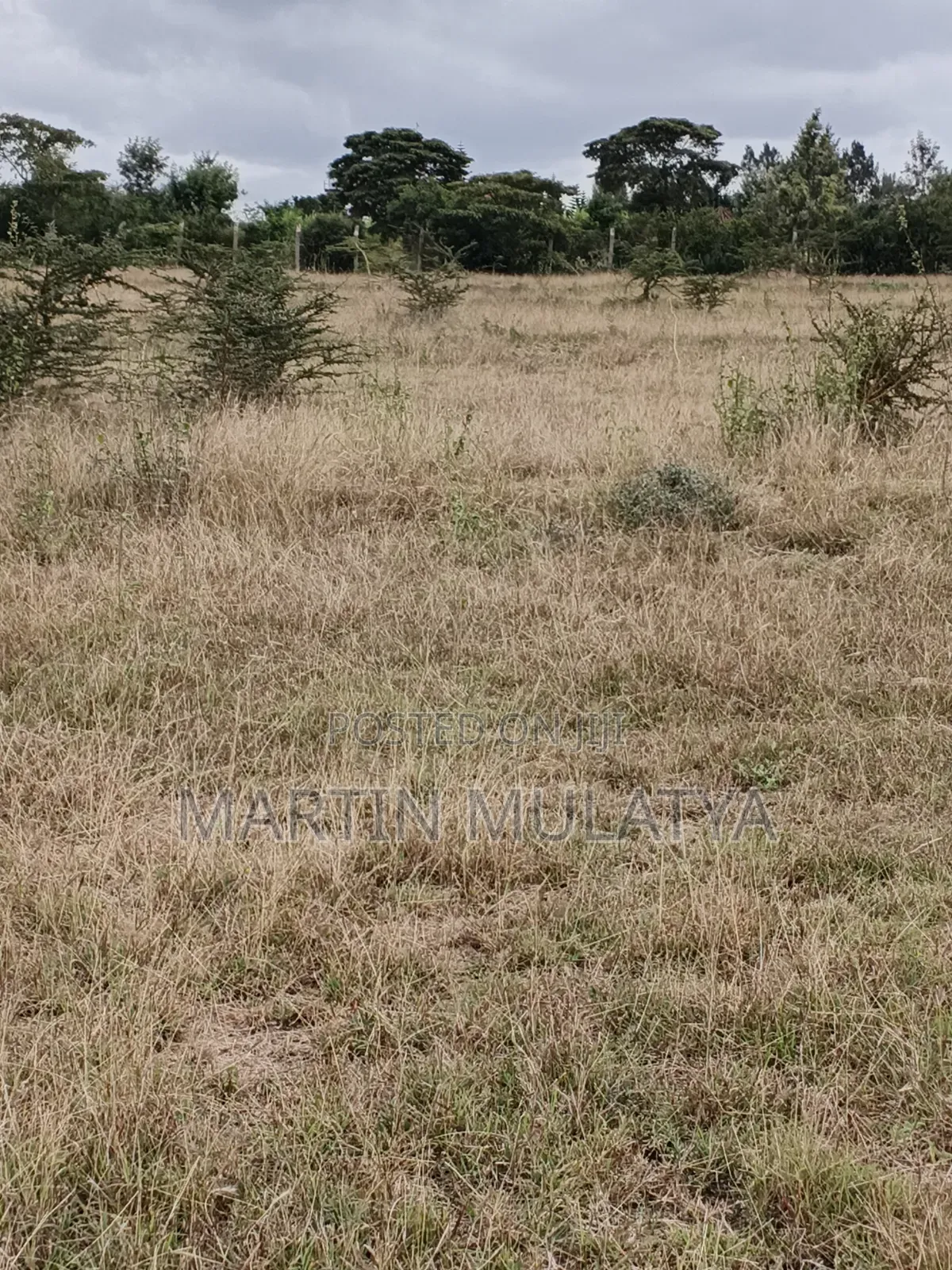 Plot for Sell in Junction