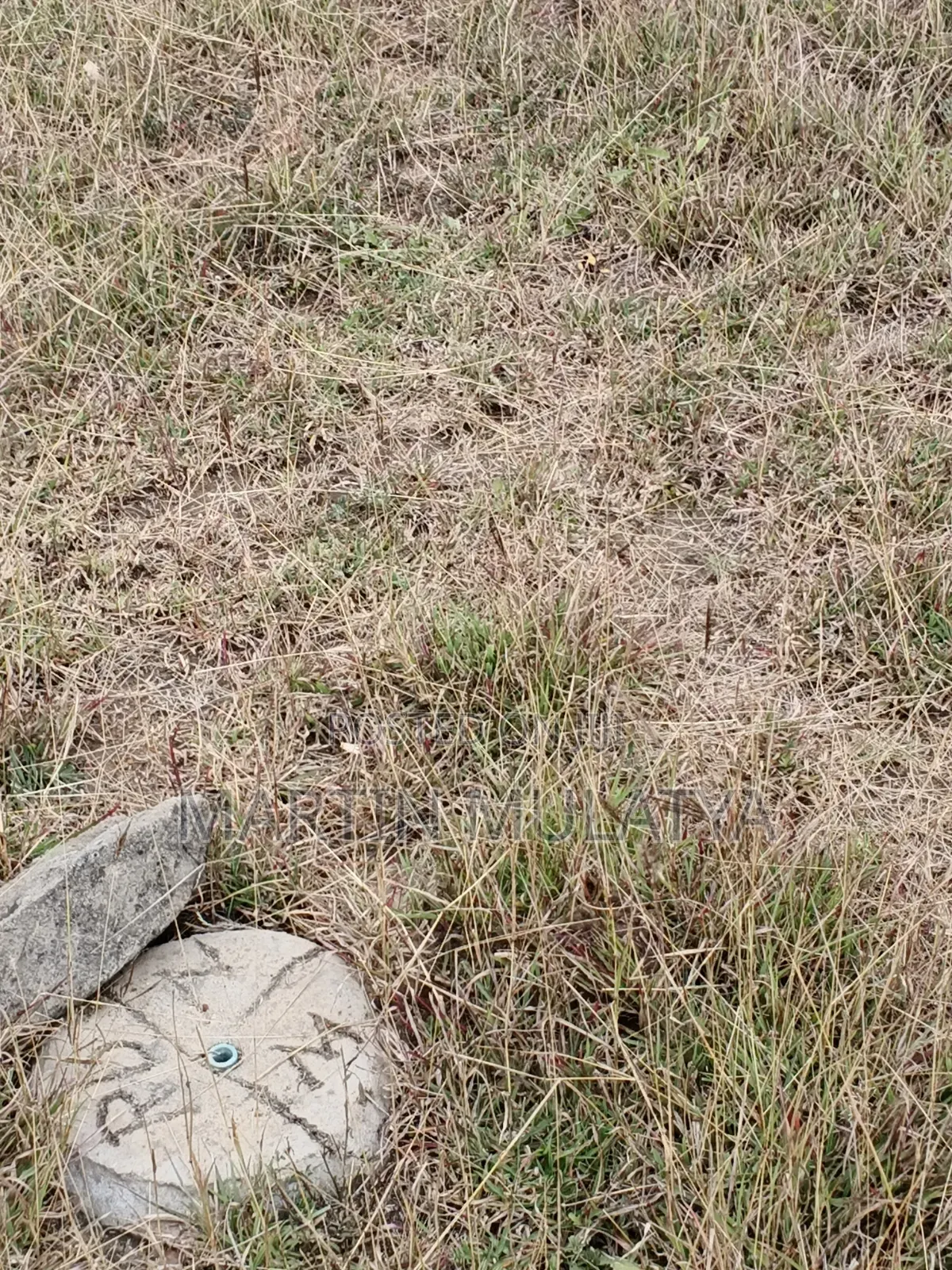 Plot for Sell in Junction