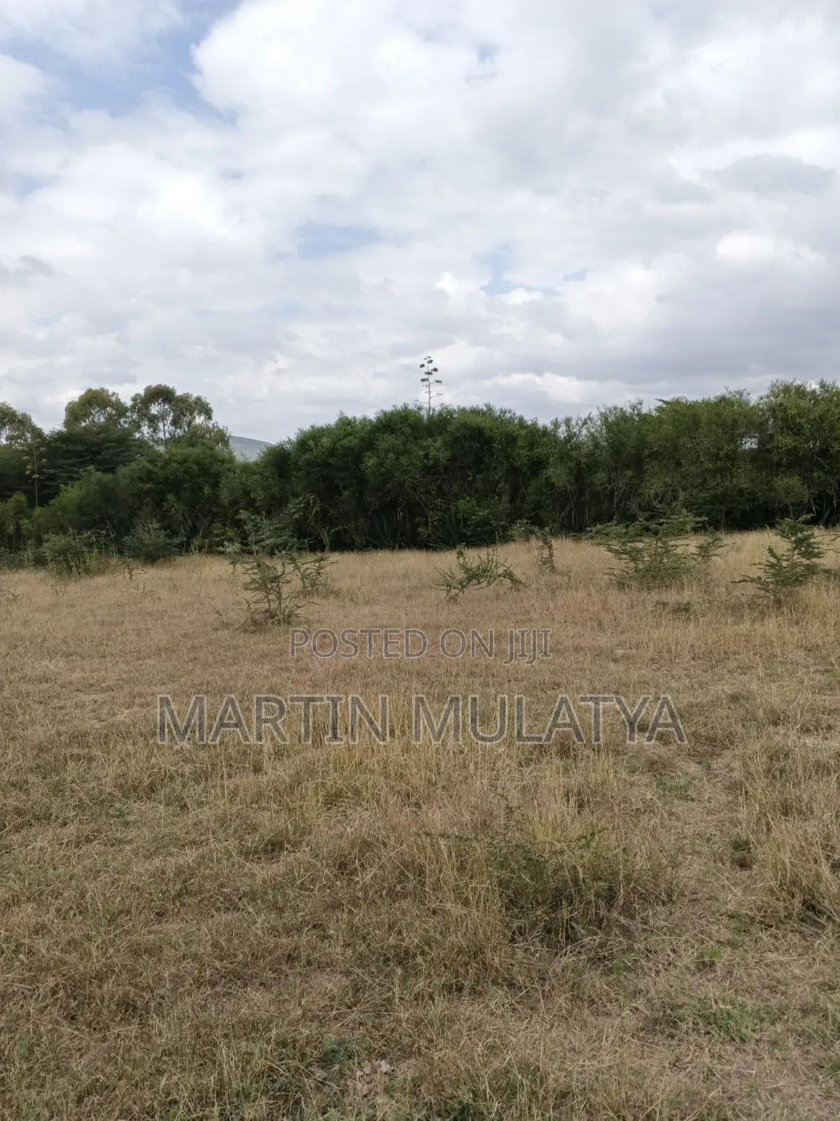 Plot for Sell in Junction