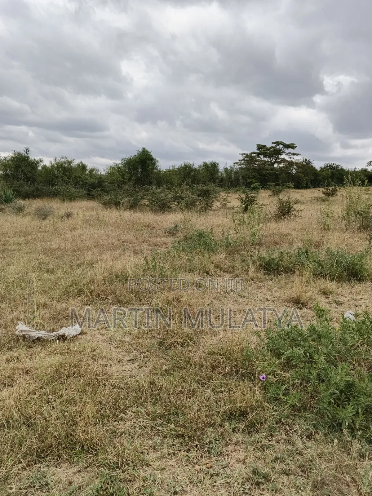 Plot for Sell in Junction