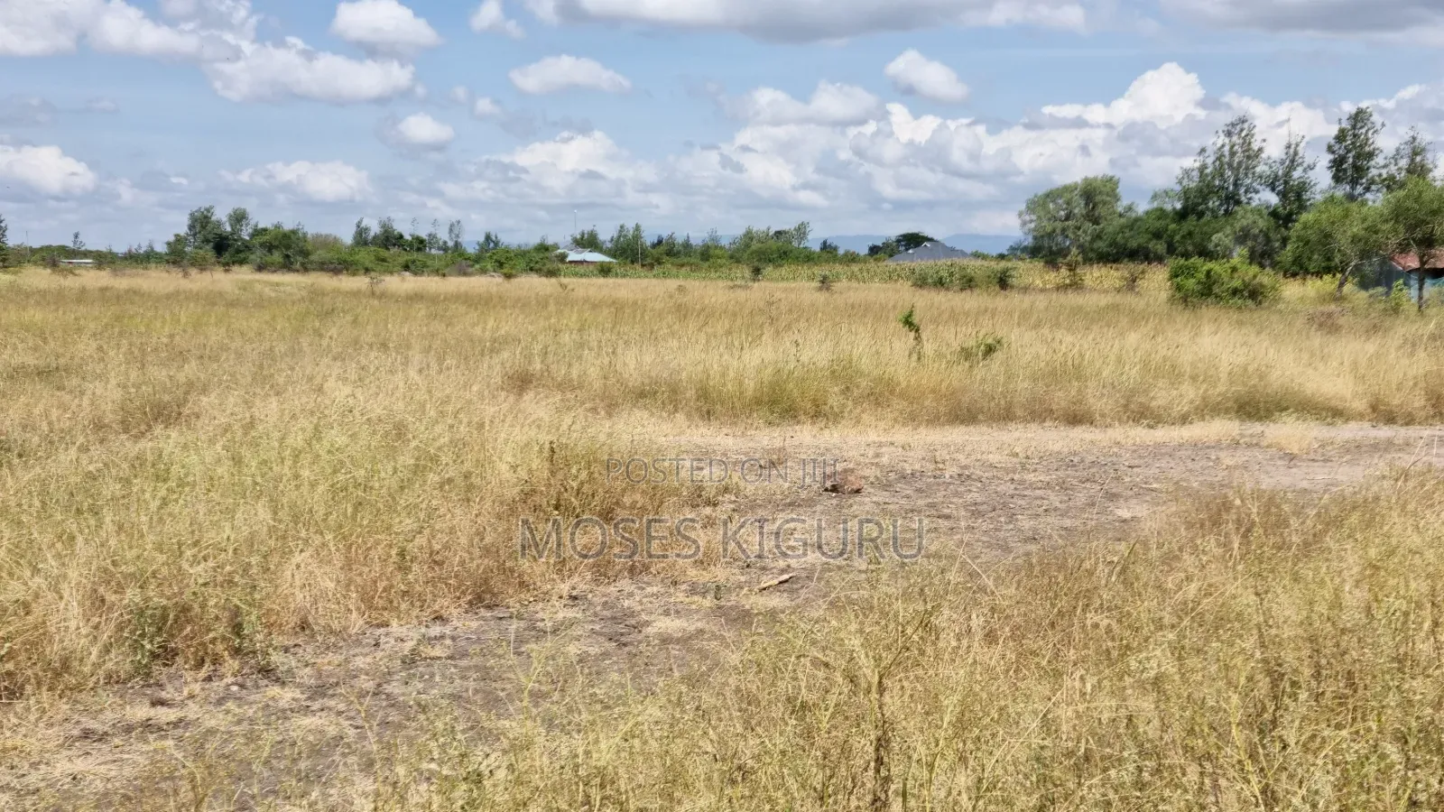 Jujafarm 50x80 Plots for Sale. in Kalimoni