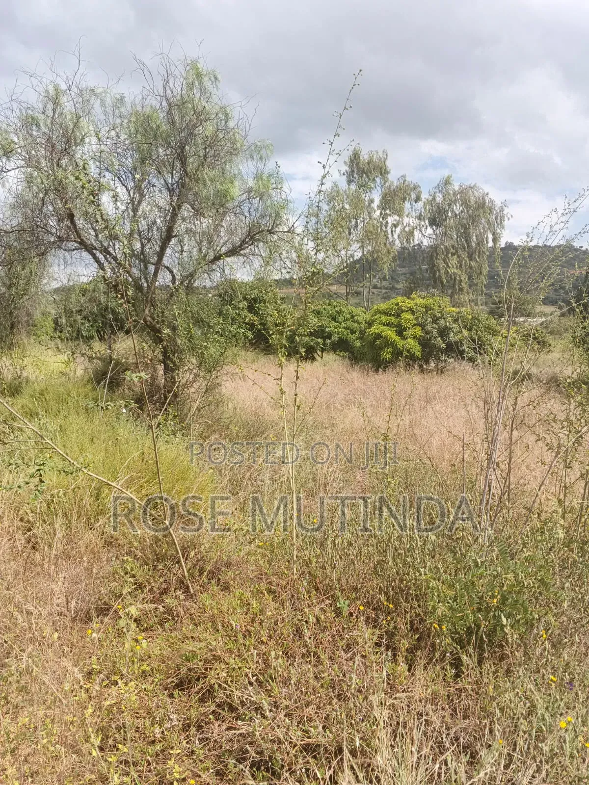 2.5acres at Makutano in Junction