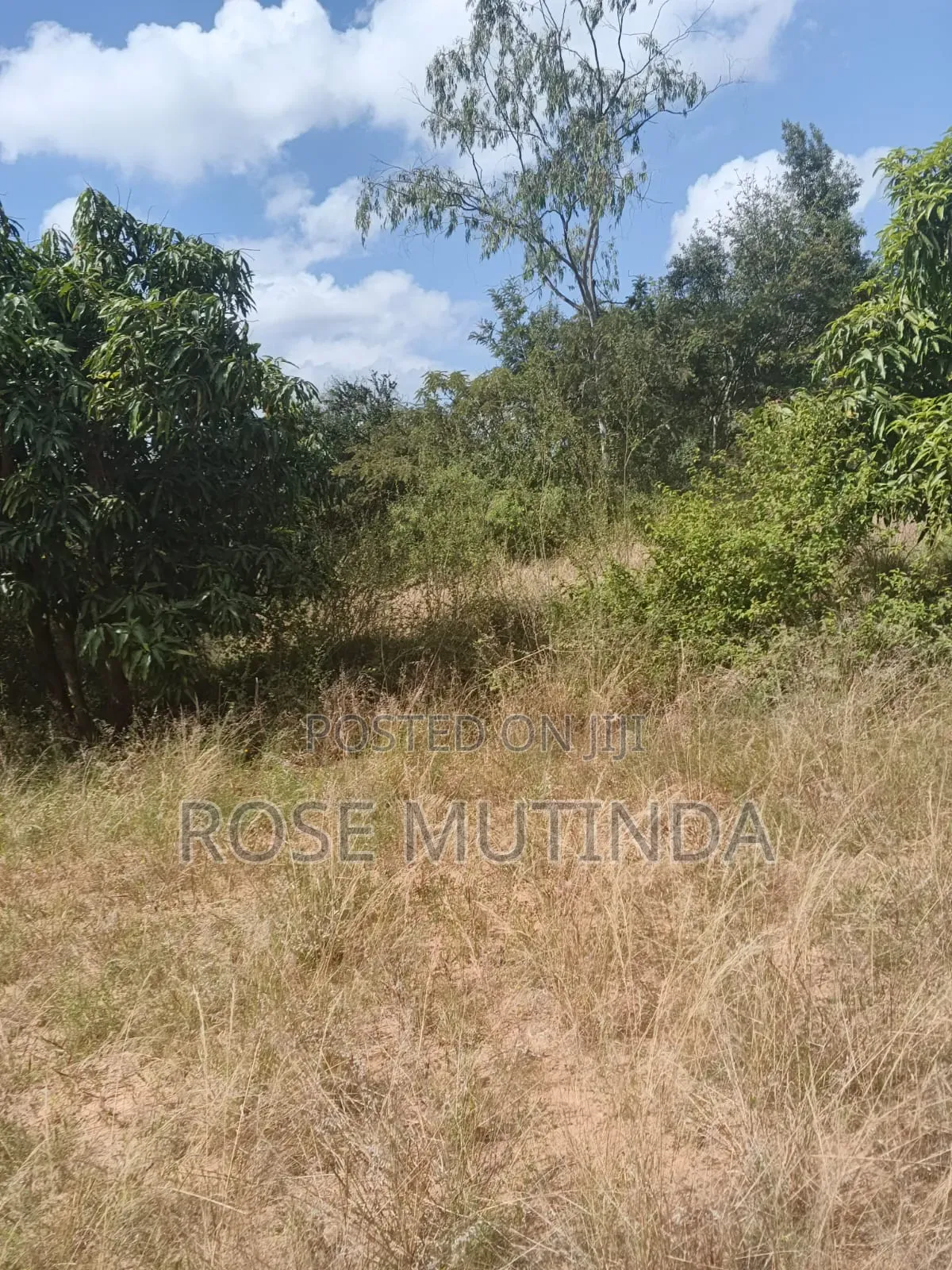 2.5acres at Makutano in Junction