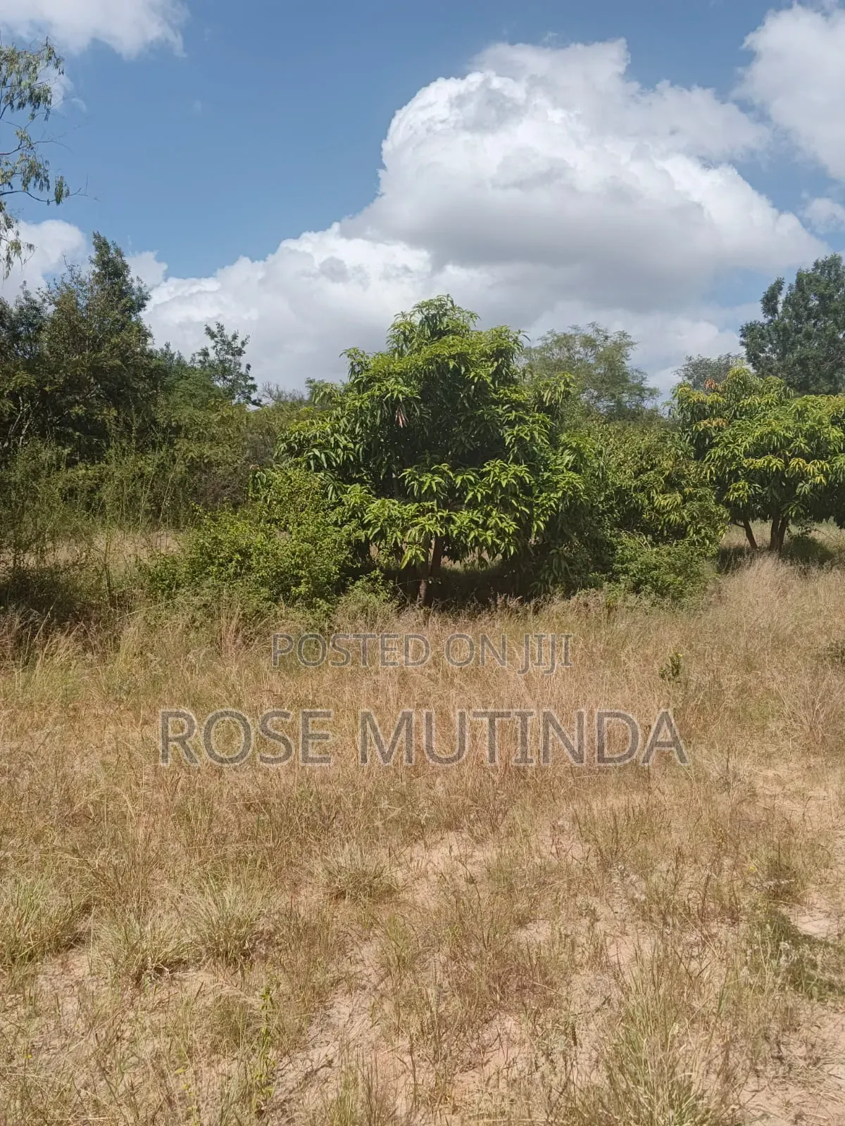 2.5acres at Makutano in Junction