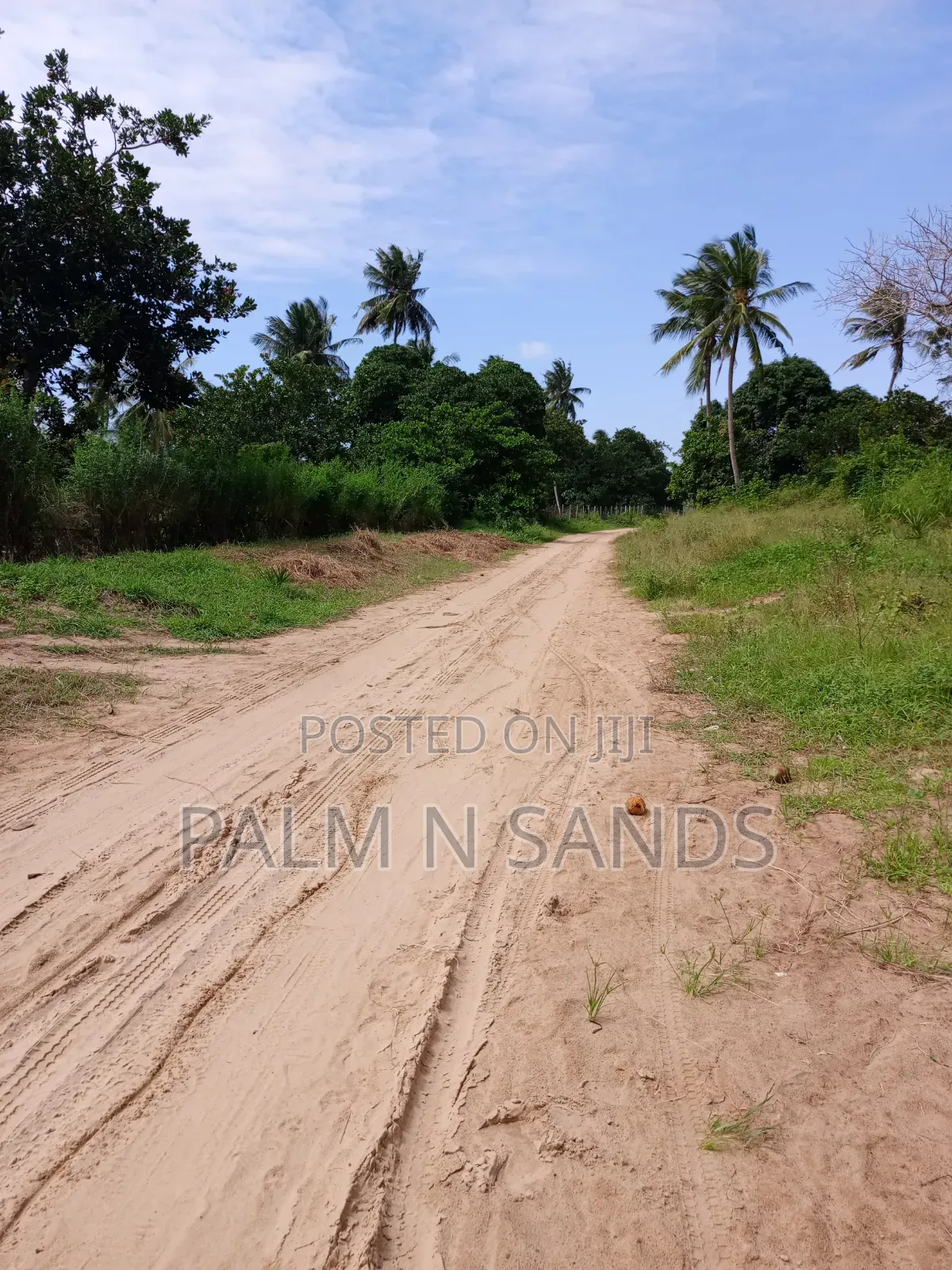 1.5 Acres in Kinondo Diani for Low Price Sale! in Diani