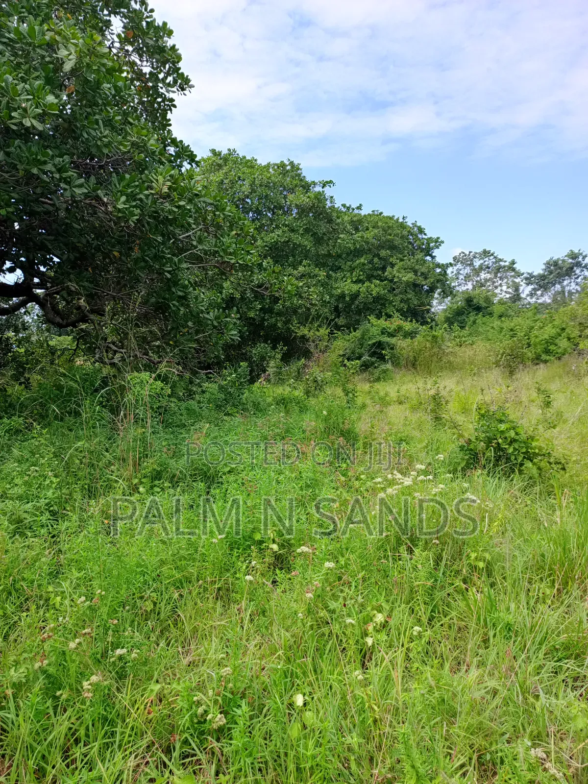 1.5 Acres in Kinondo Diani for Low Price Sale! in Diani