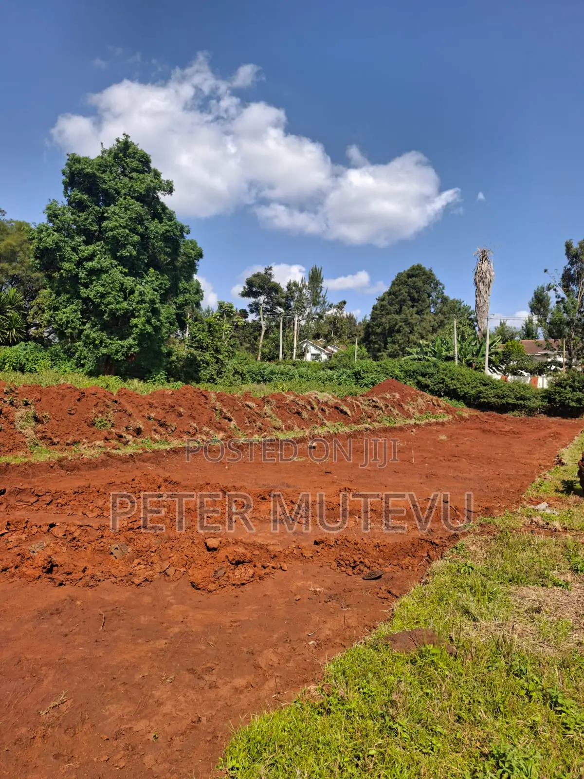Half Acre Land for Sale in Karen in Hardy