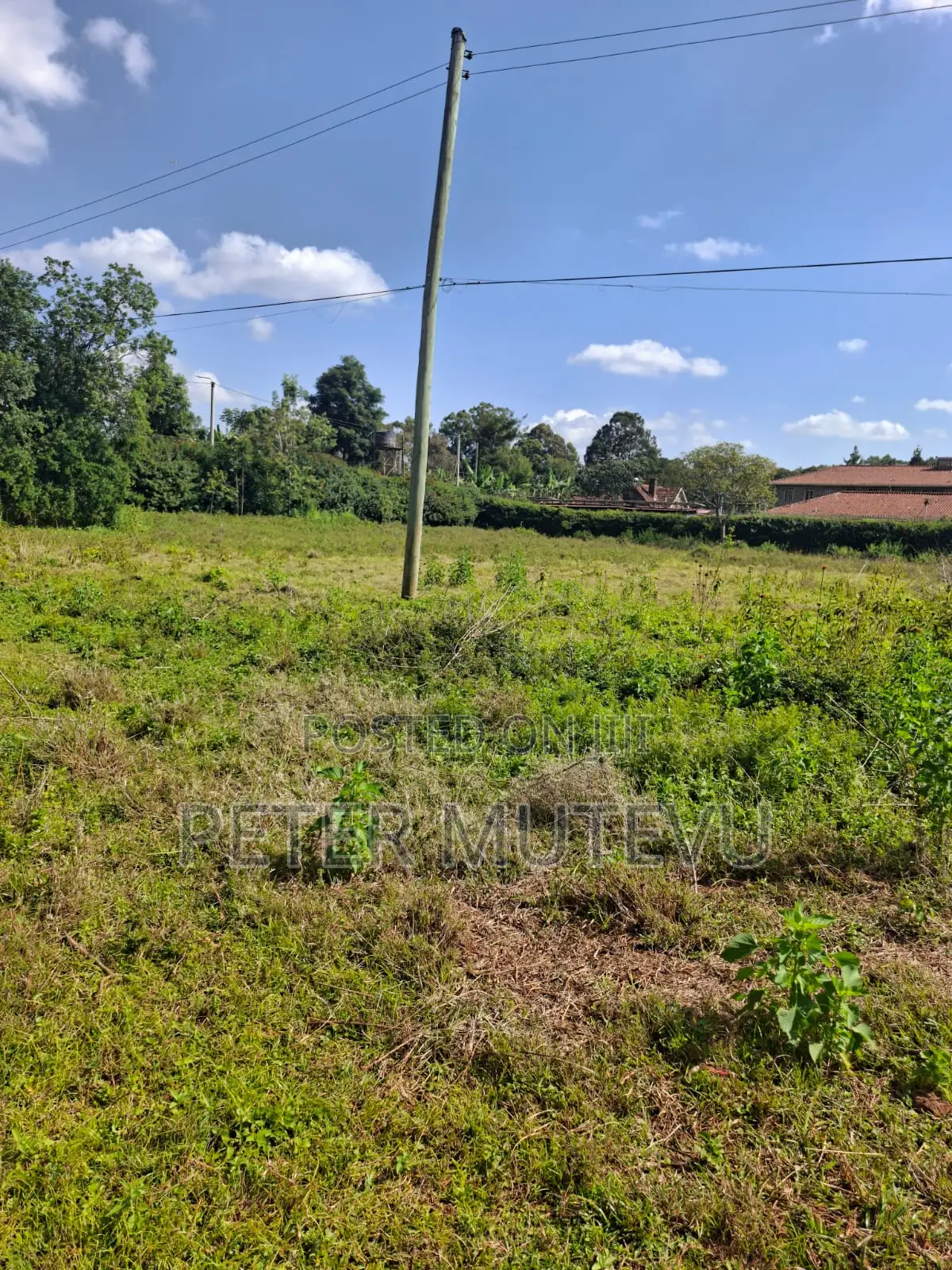 Half Acre Land for Sale in Karen in Hardy