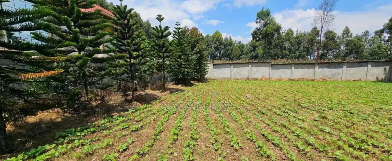 1⁄4 Plot for Sale in Annex Blossom Eldoret. in Kipchamo