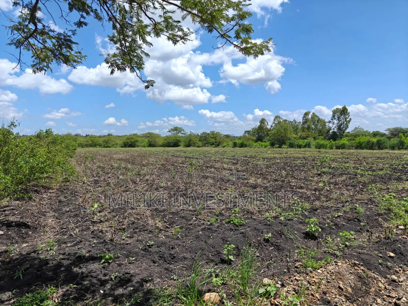 7 Acres on Sale at Kirinyaga -Rukanga in Mutithi