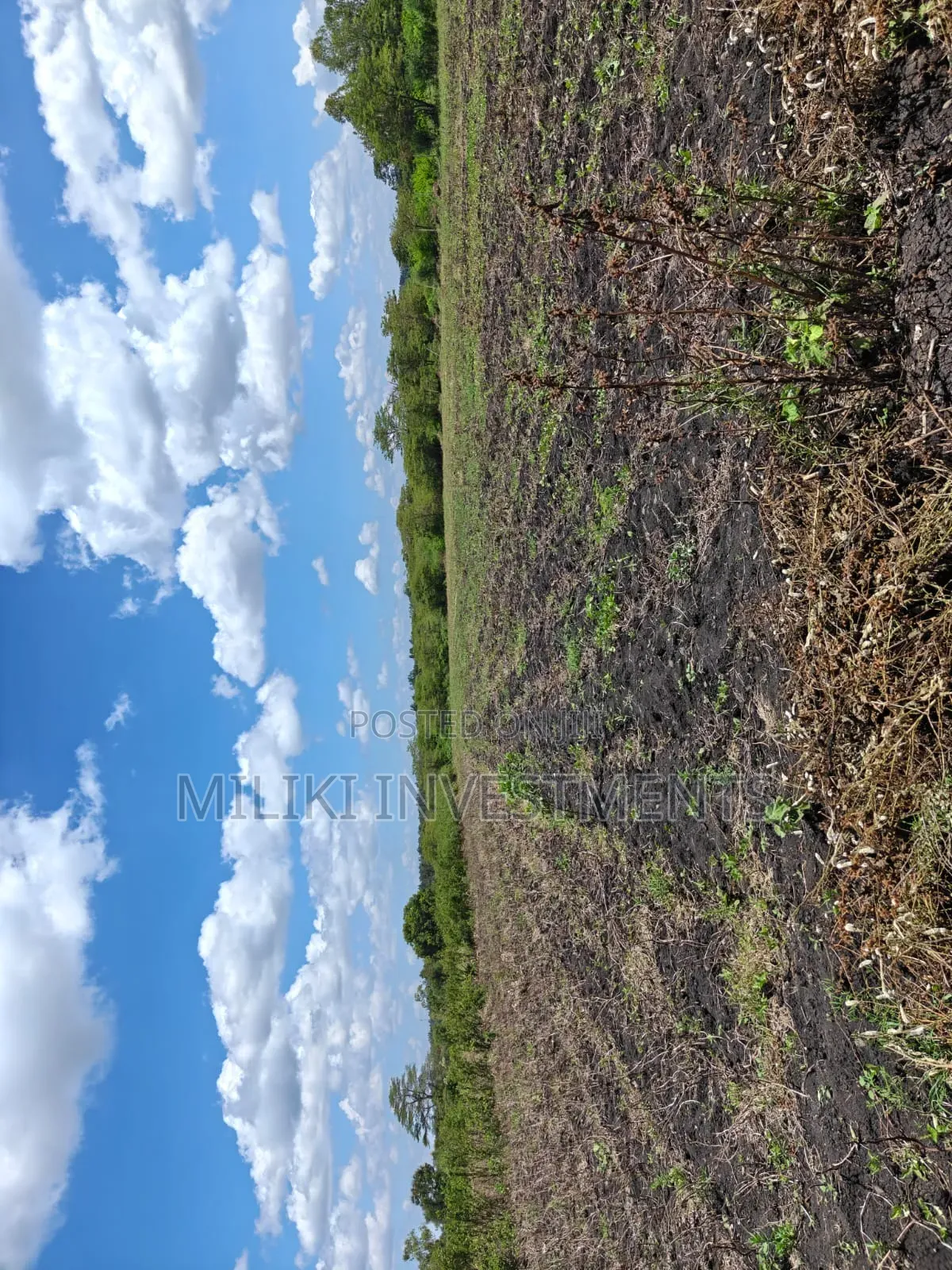 7 Acres on Sale at Kirinyaga -Rukanga in Mutithi