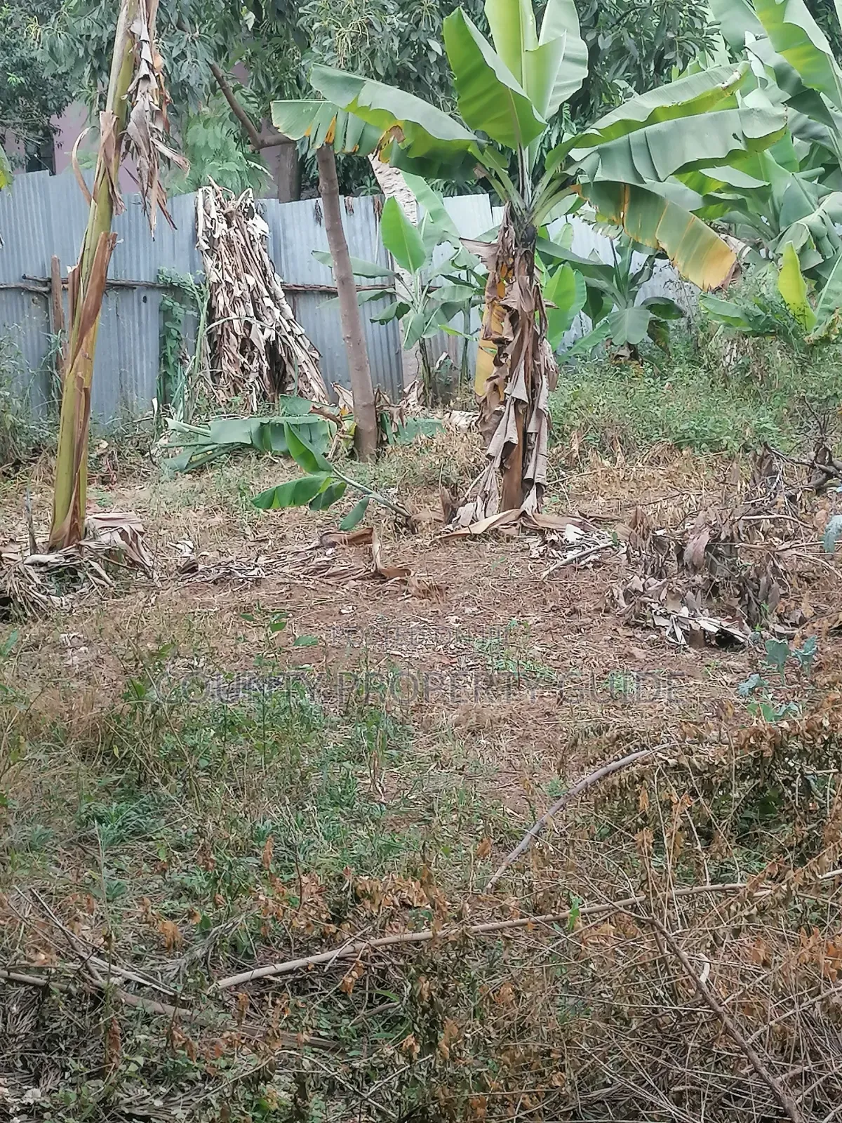Kahawa Sukari Prime Residential 1⁄4 Acre Plot for Sale With Title in Kahawa Sukari