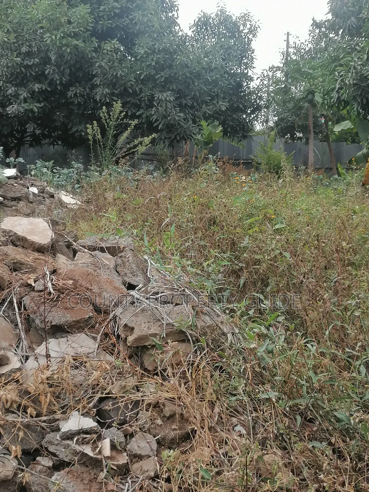 Kahawa Sukari Prime Residential 1⁄4 Acre Plot for Sale With Title in Kahawa Sukari