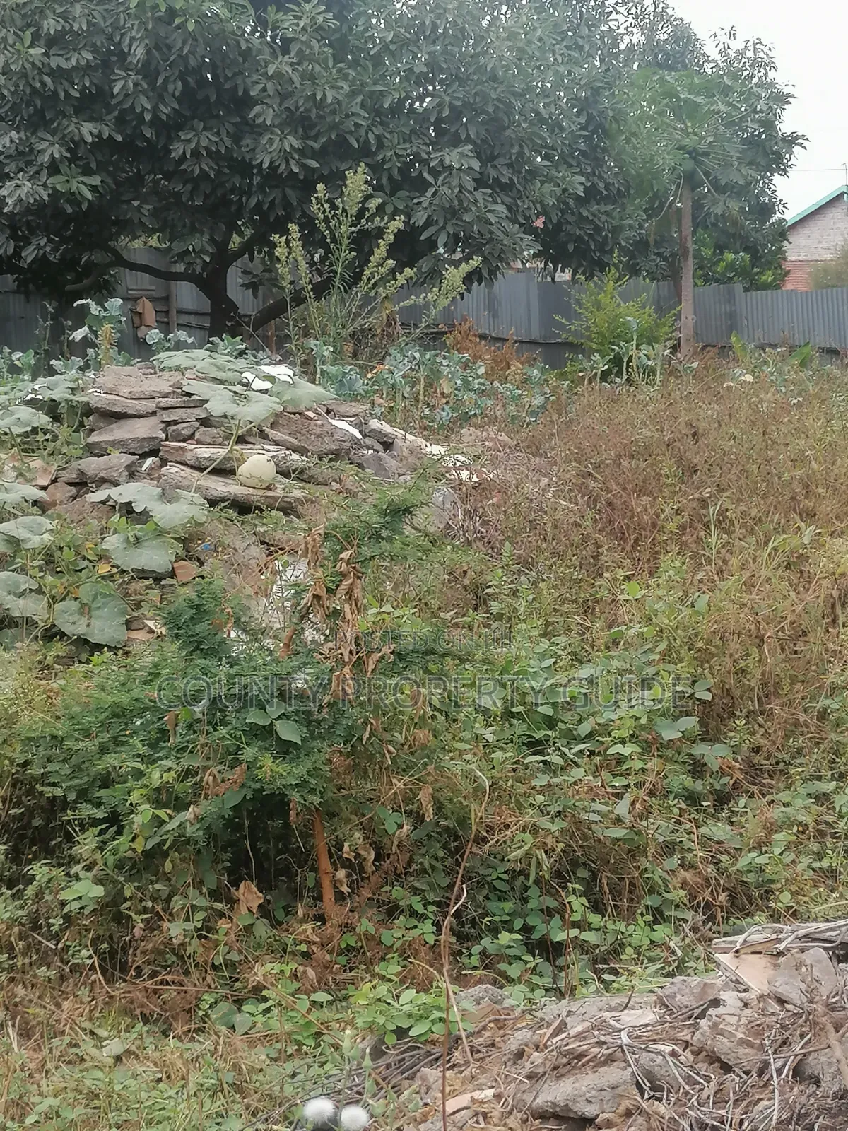 Kahawa Sukari Prime Residential 1⁄4 Acre Plot for Sale With Title in Kahawa Sukari