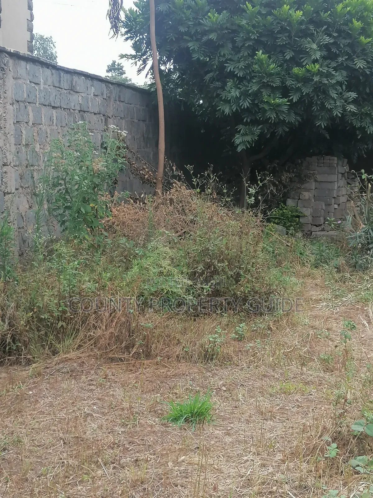 Kahawa Sukari Prime Residential 1⁄4 Acre Plot for Sale With Title in Kahawa Sukari