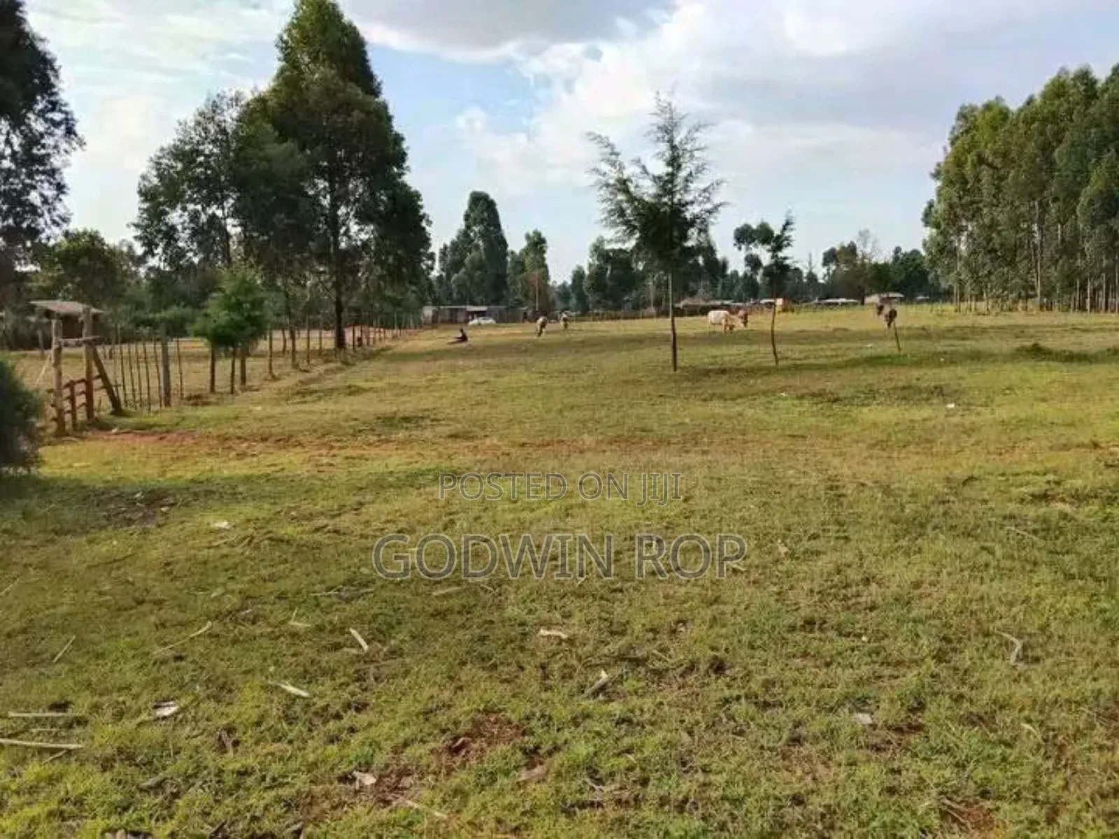 1⁄8 Plots for Sale in Kabongo Kapsaret Eldoret. in Ngeria