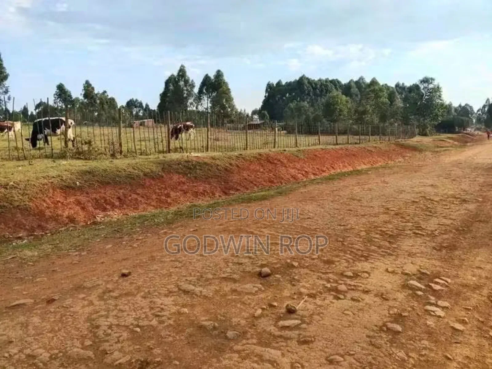1⁄8 Plots for Sale in Kabongo Kapsaret Eldoret. in Ngeria