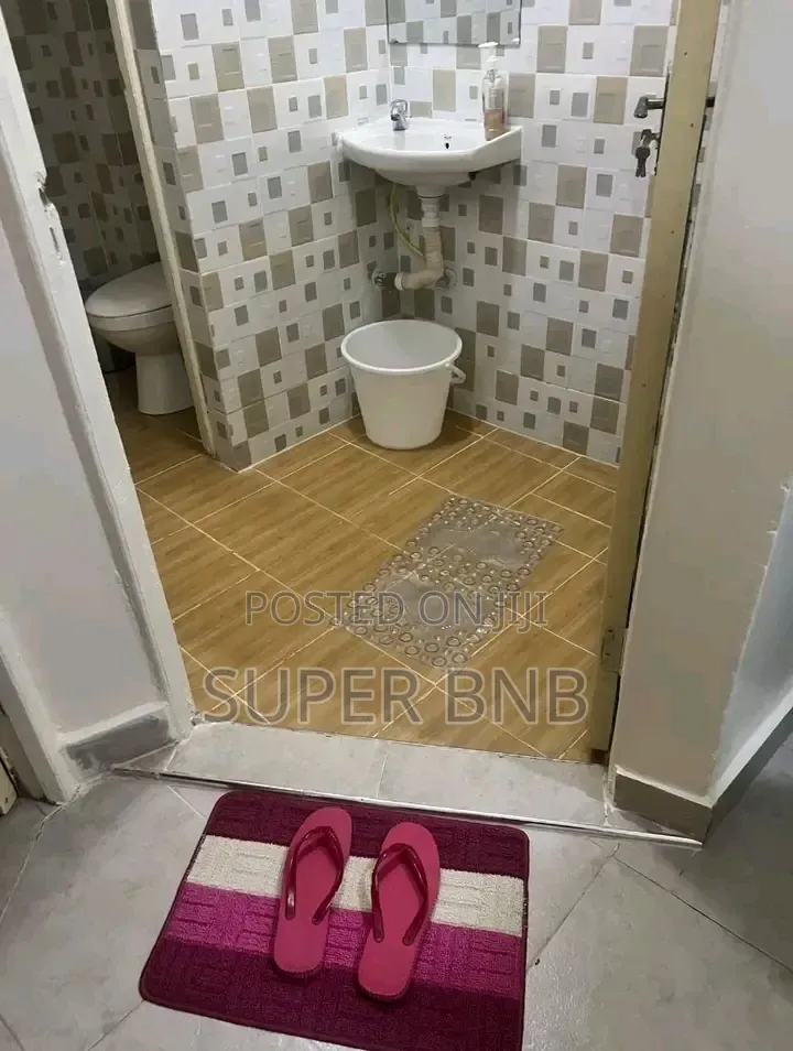 Studio and 1 Bedroom Airbnb in Embu Town Next Embu College. in Central Ward