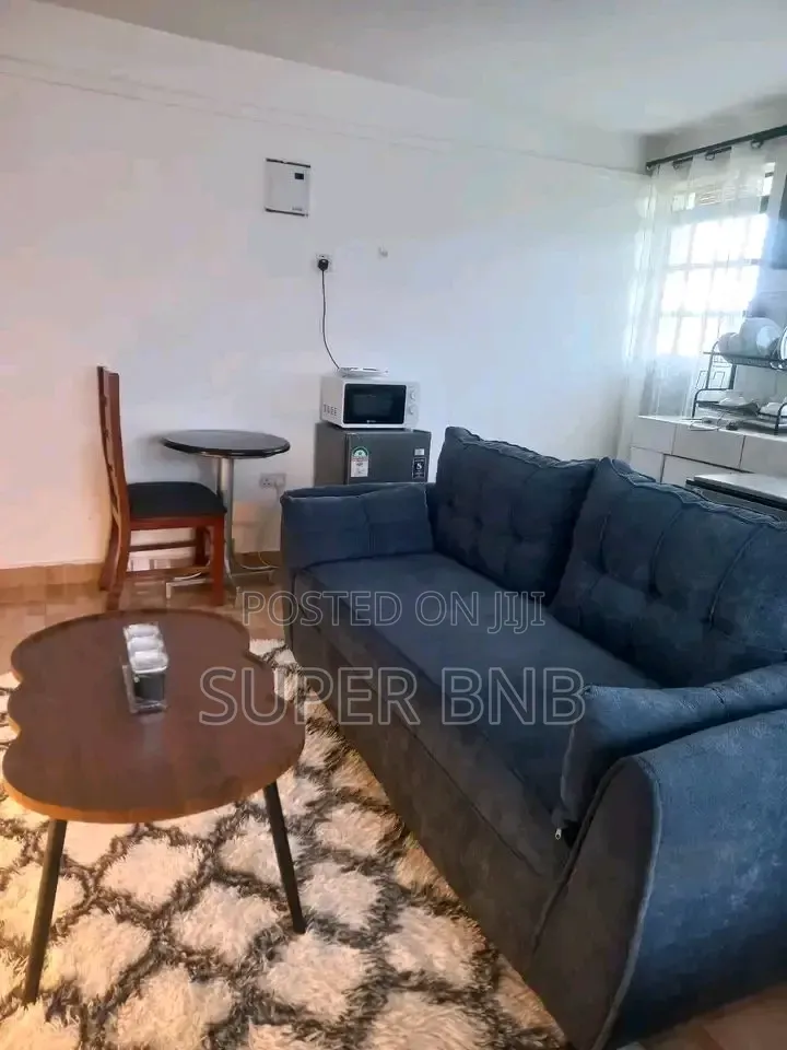 Machakos Town Studio Apartments Airbnb in Junction