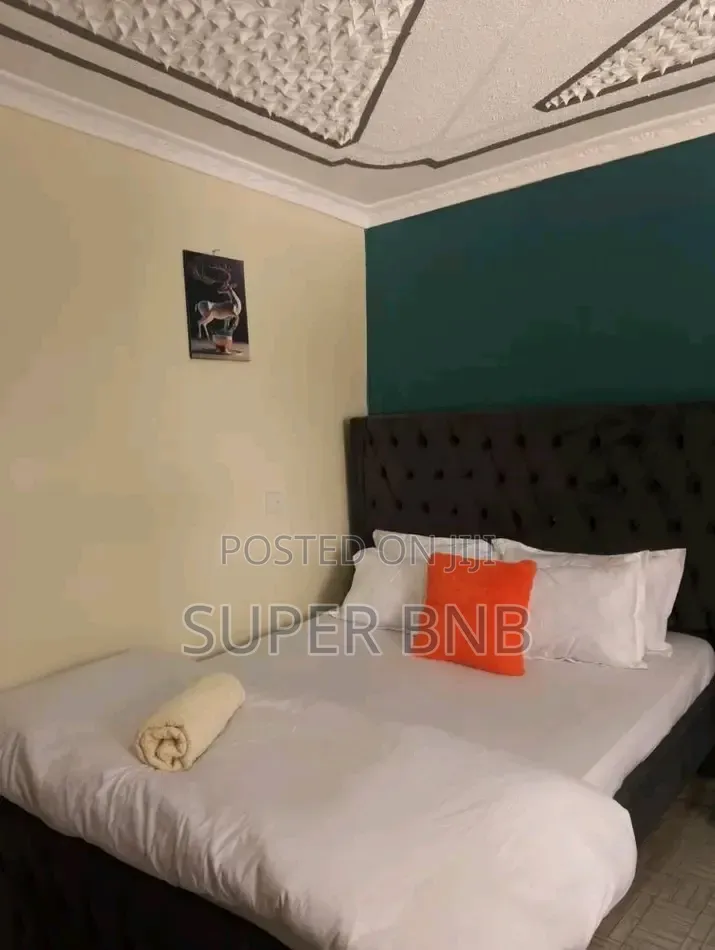 Fully Furnished Studio BNB in Donholm Along Spine Road Greenspan in Greenfields