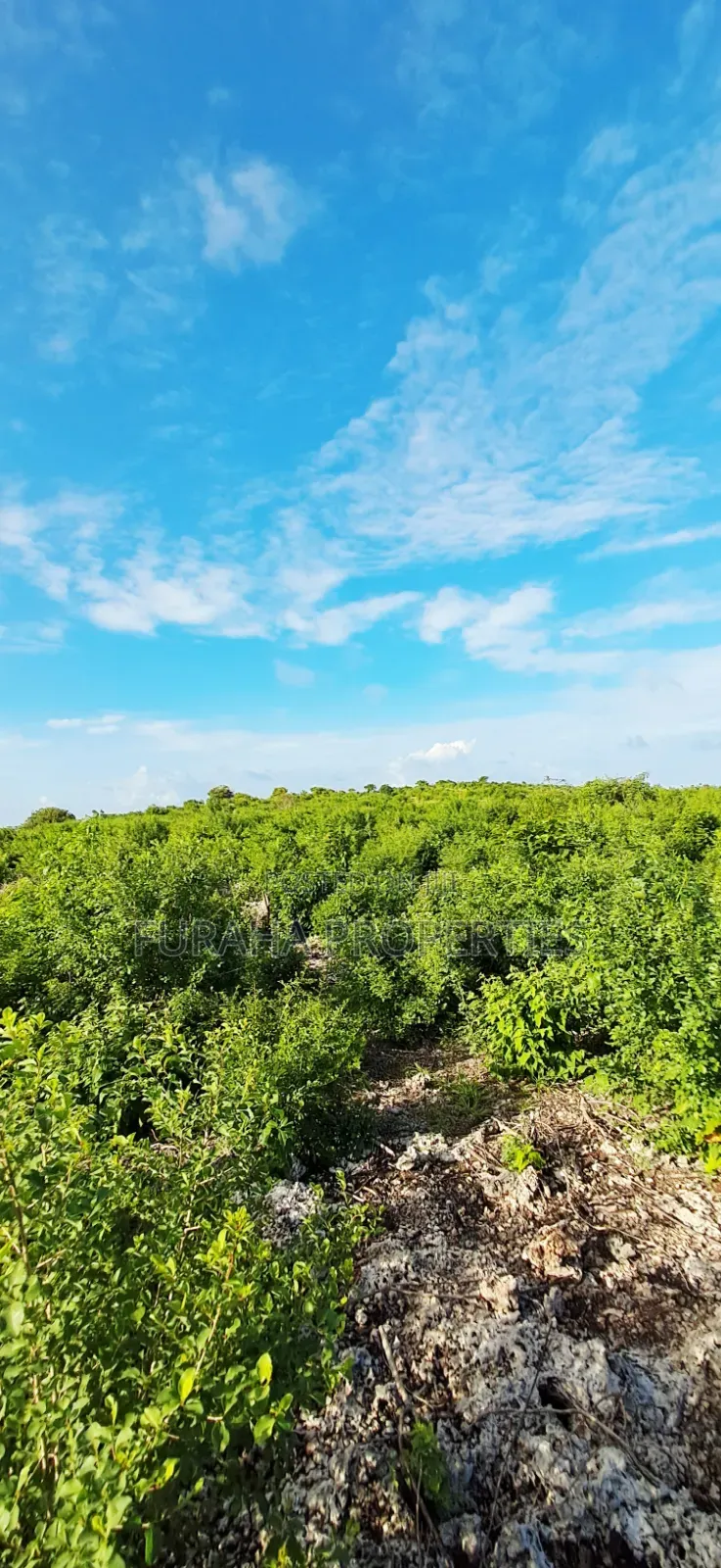 For Sale 4 Acres 2nd Raw Land Watamu in Watamu