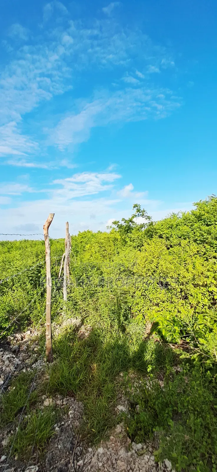 For Sale 4 Acres 2nd Raw Land Watamu in Watamu
