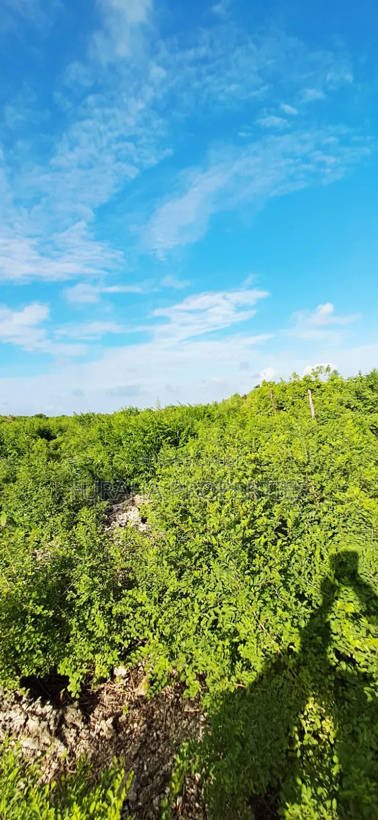 For Sale 4 Acres 2nd Raw Land Watamu in Watamu