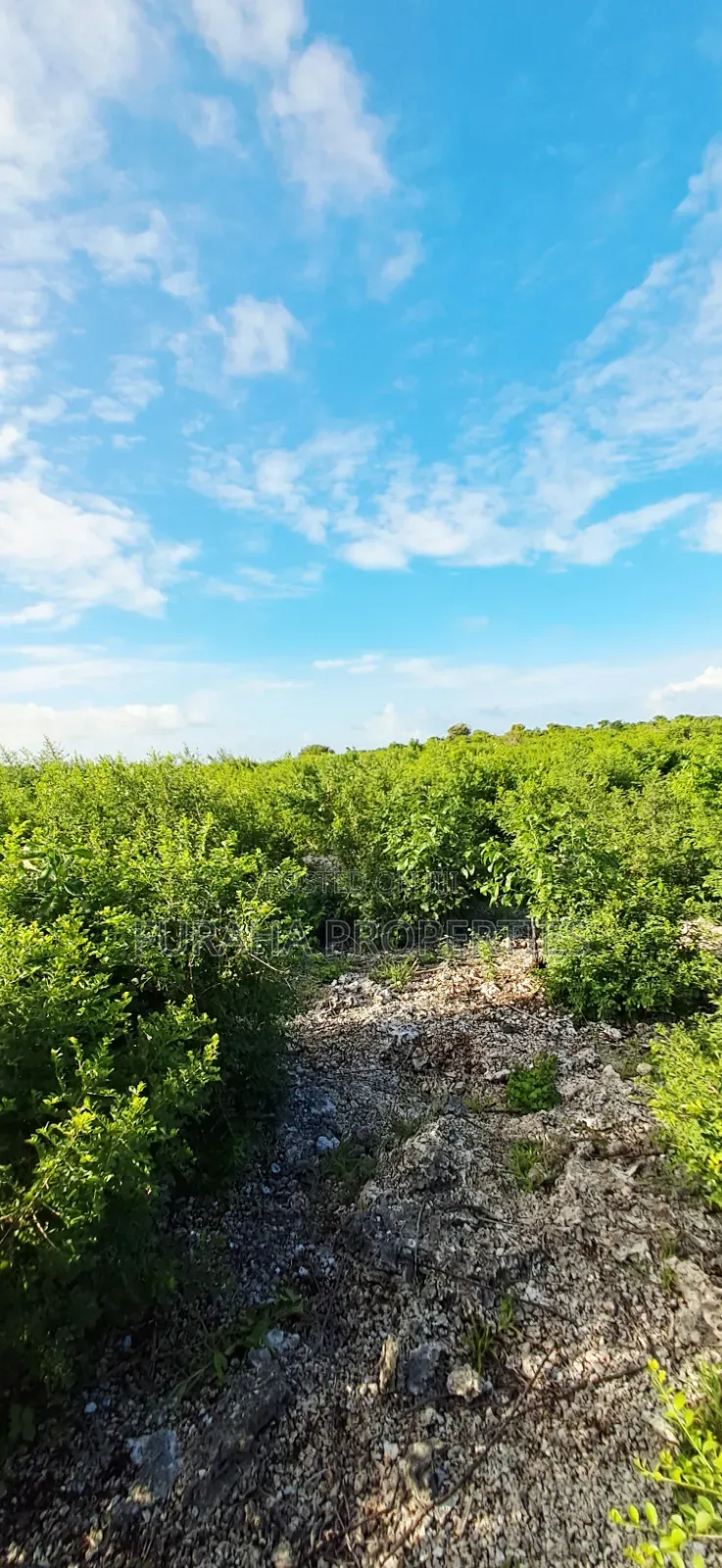 For Sale 4 Acres 2nd Raw Land Watamu in Watamu