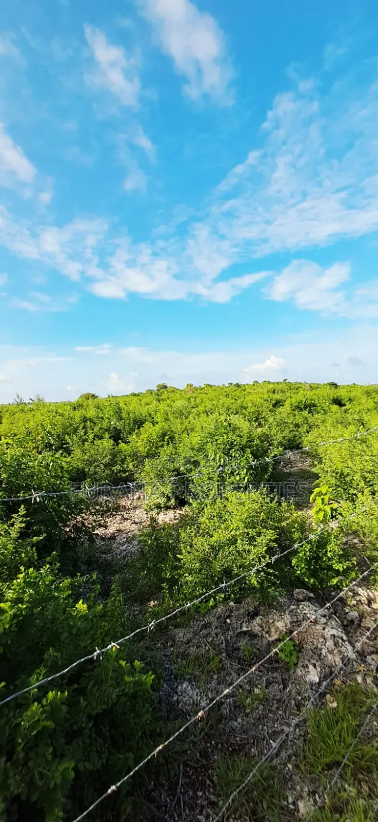 For Sale 4 Acres 2nd Raw Land Watamu in Watamu