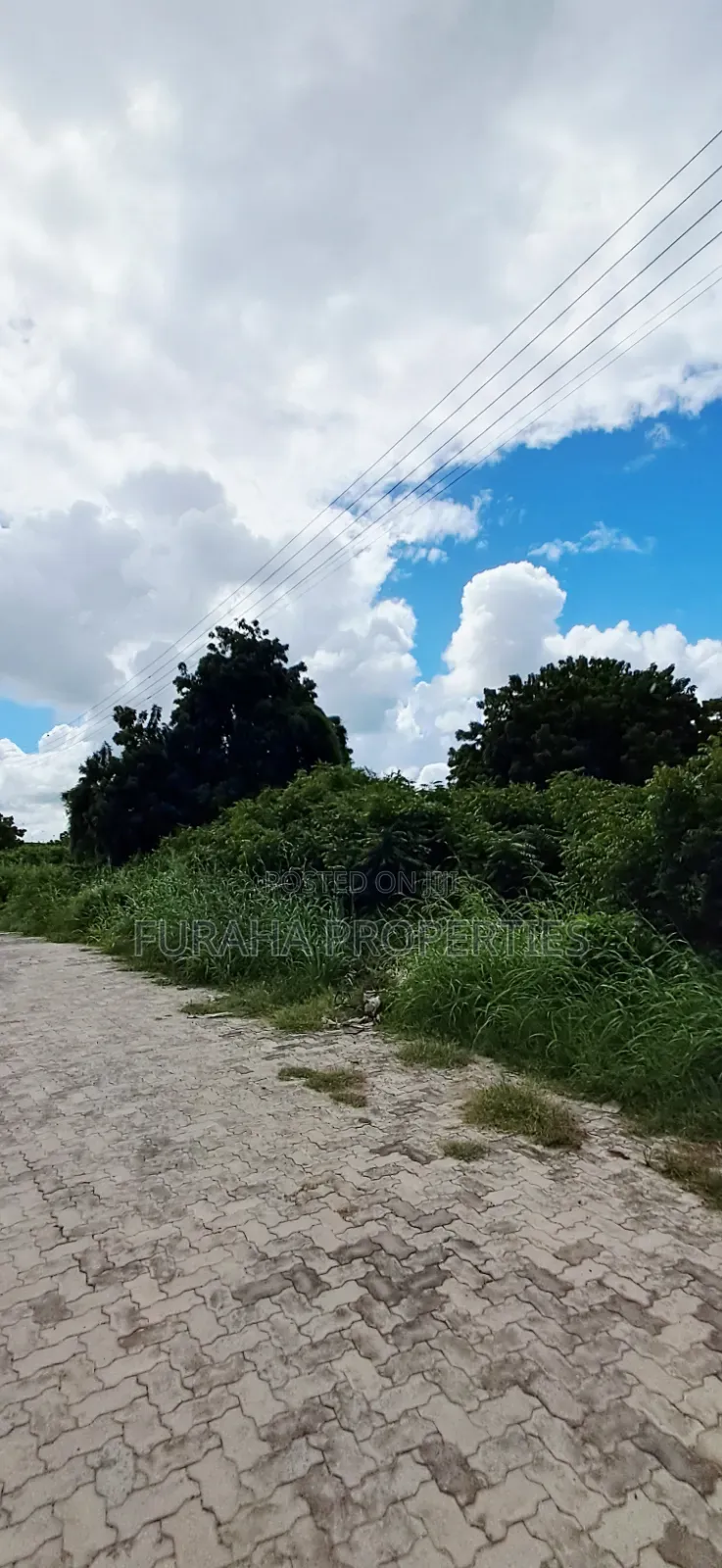 For Sale Eigth of an Acre Plots Malindi in Town Centre