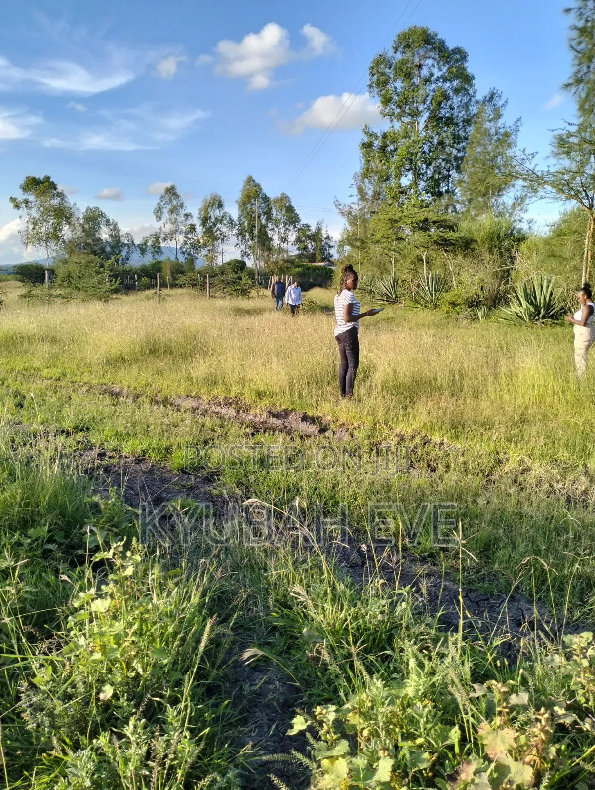 45*90 Commercial Prime Plots For Sale in Ngoliba
