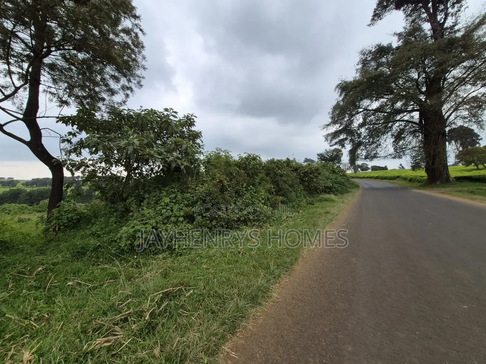 3 Acres of Land for Sale in Riara Ridge,Tigoni at KSHS in Tigoni