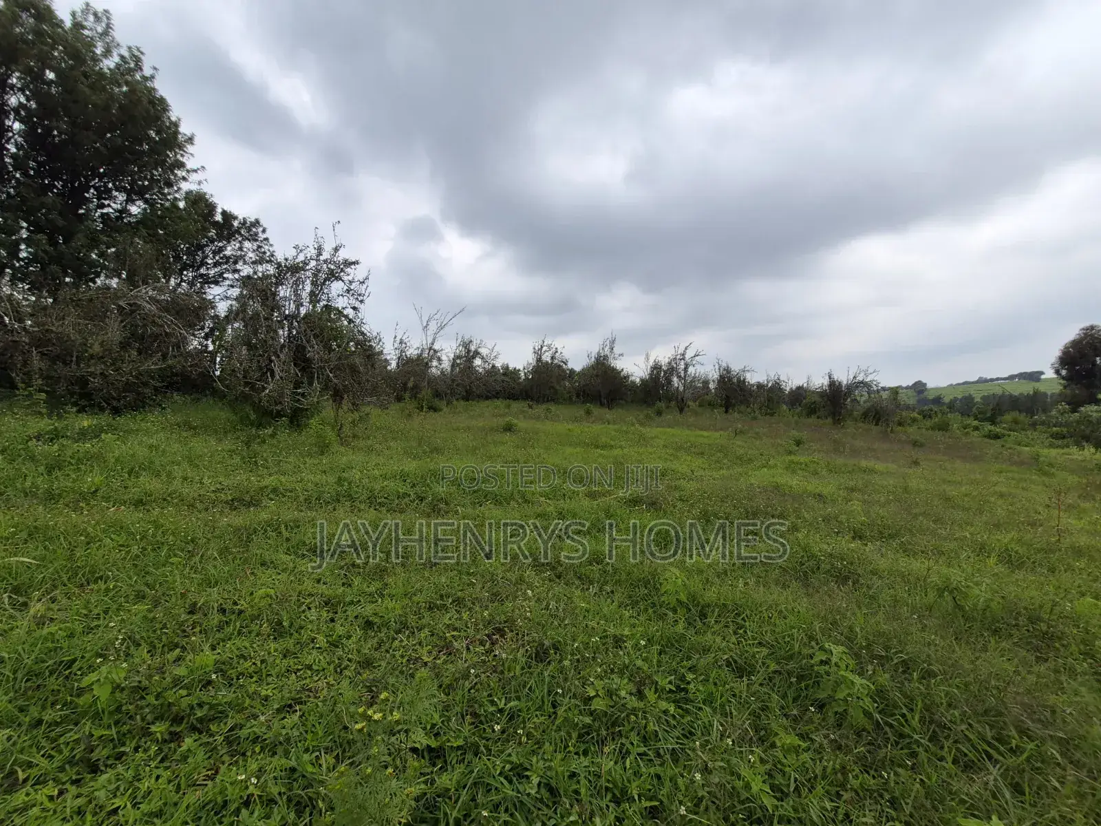 3 Acres of Land for Sale in Riara Ridge,Tigoni at KSHS in Tigoni