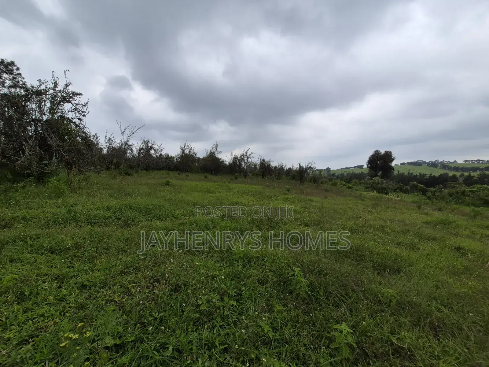 3 Acres of Land for Sale in Riara Ridge,Tigoni at KSHS in Tigoni