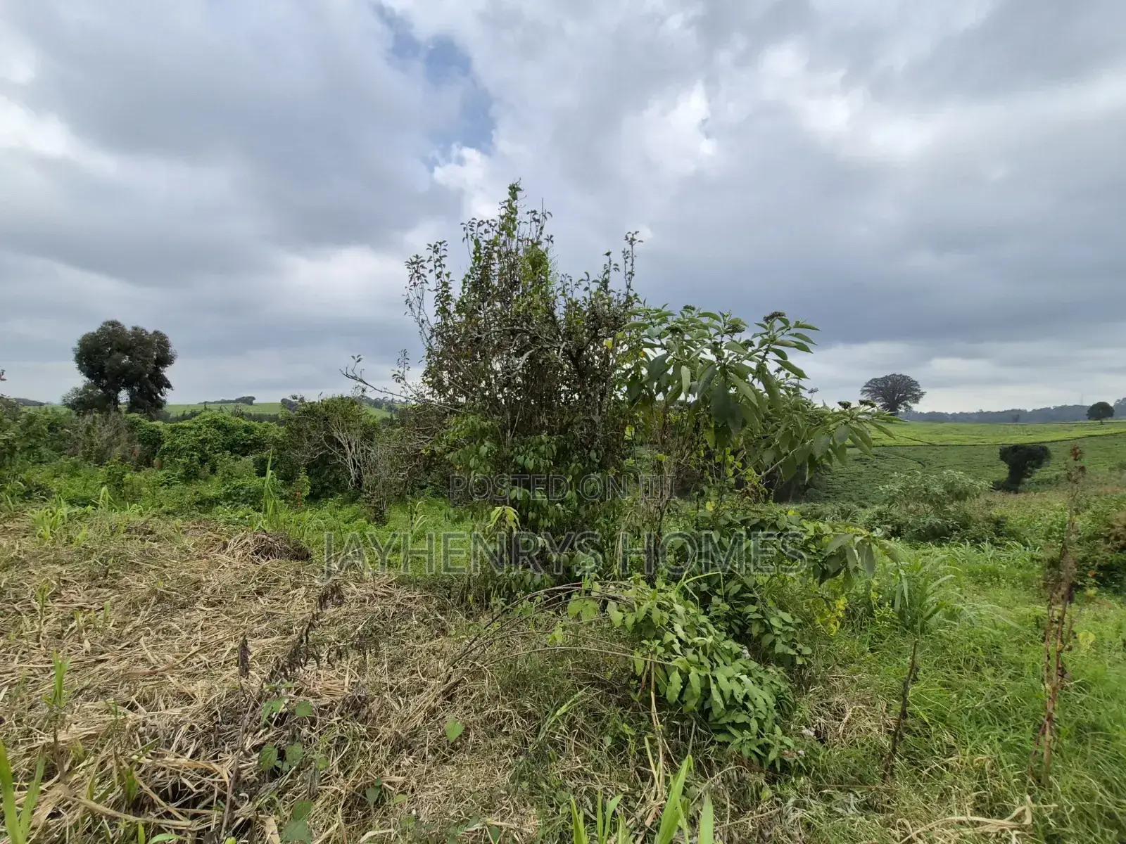 3 Acres of Land for Sale in Riara Ridge,Tigoni at KSHS in Tigoni