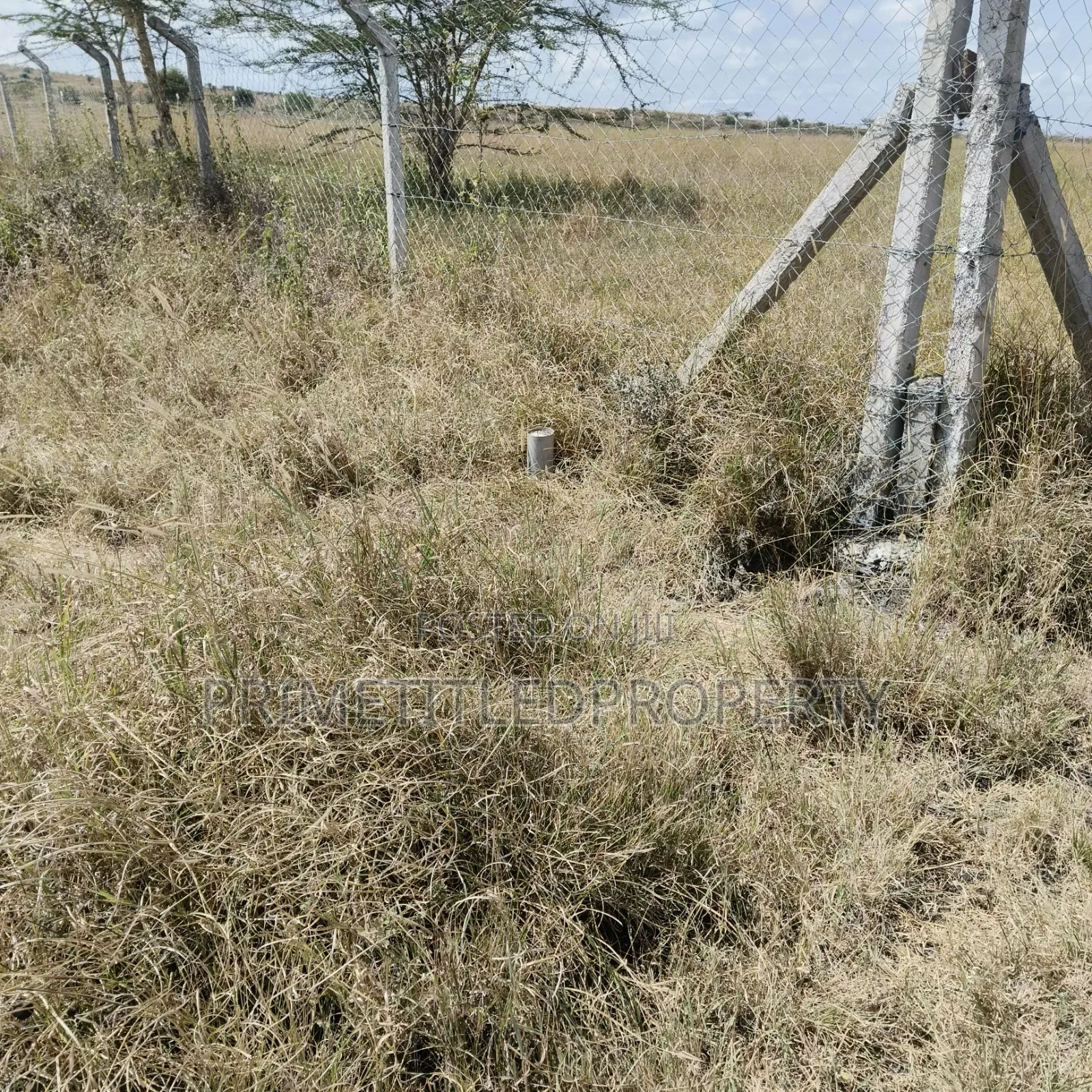 10.8 Acres at Konza/ Malili in Malili
