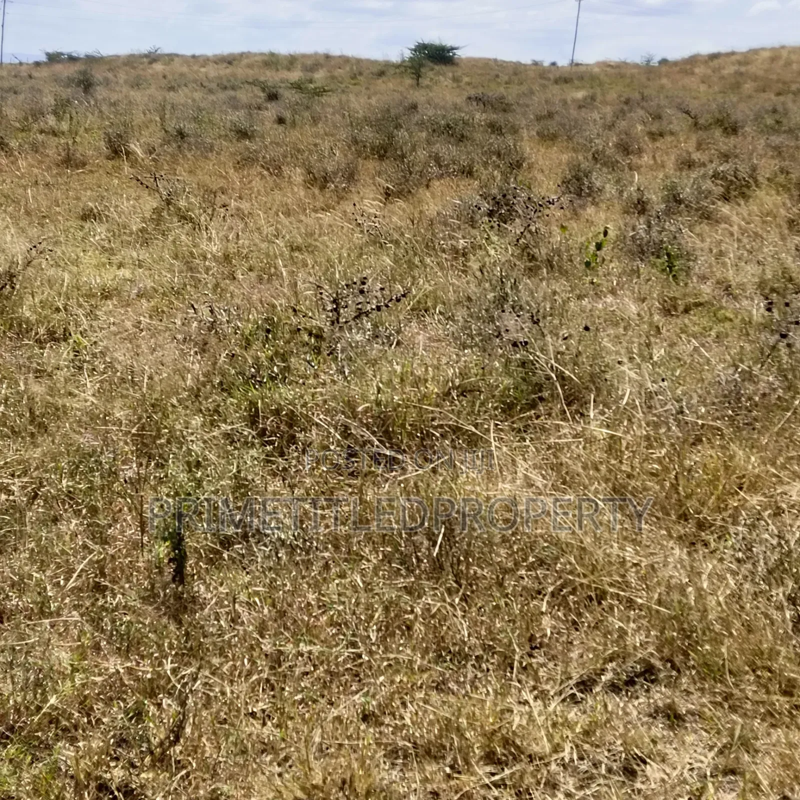 10.8 Acres at Konza/ Malili in Malili