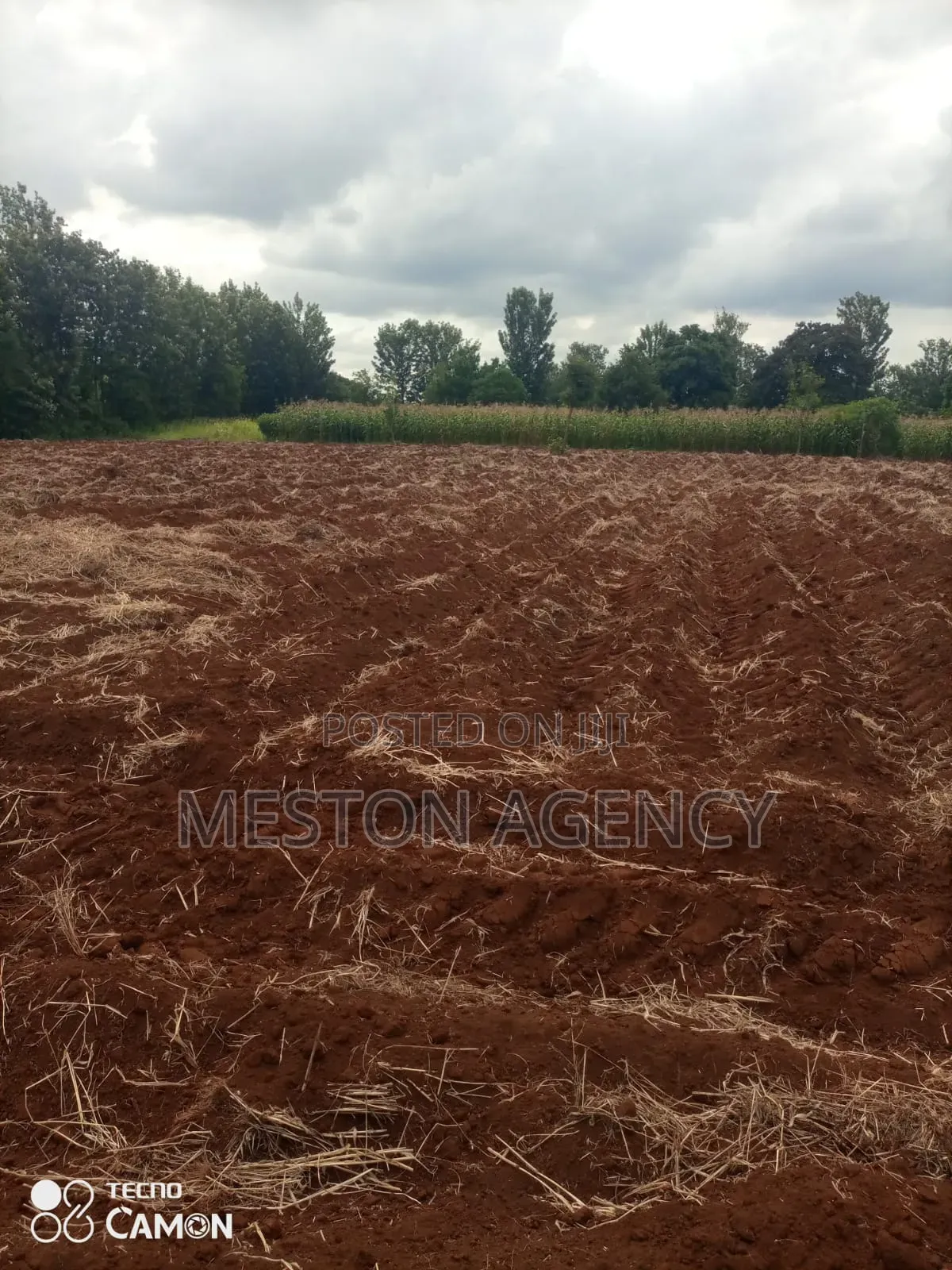 4 Acres Kagio Kirinyaga in Kerugoya