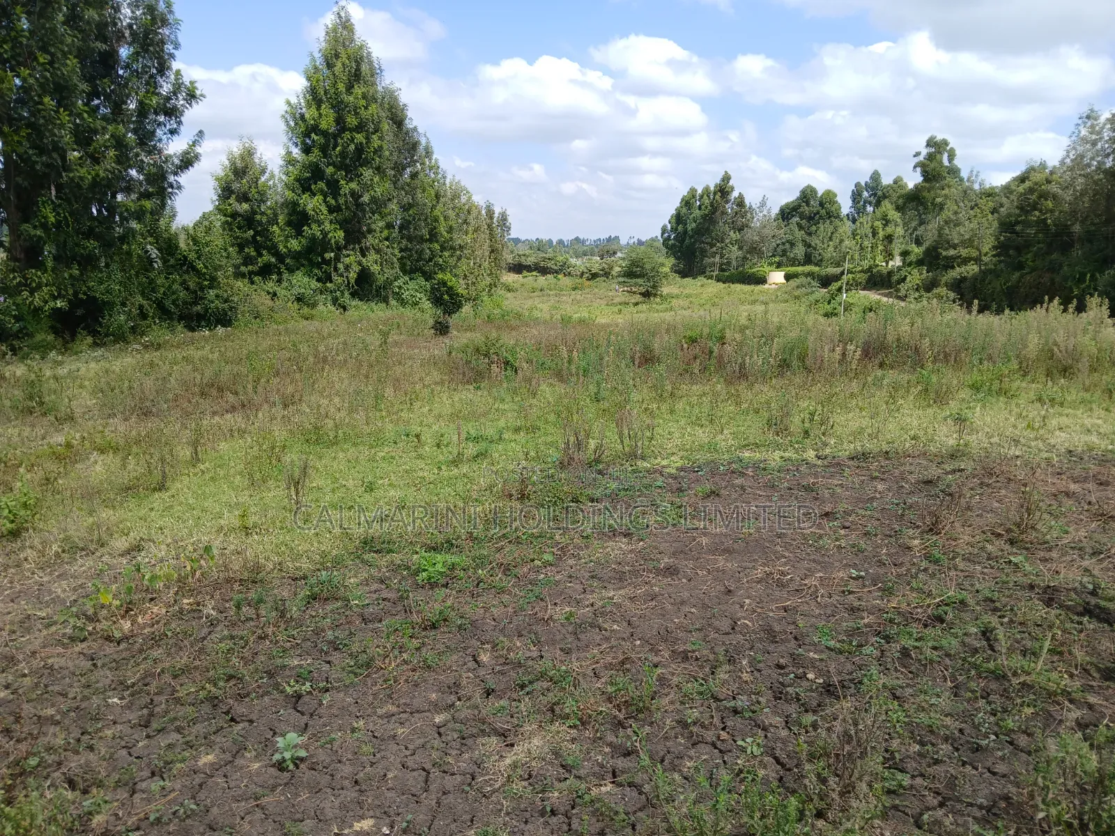 Prime Lipa Pole Pole Plots in Matasia, Ngong Near Tarmac in Matasia