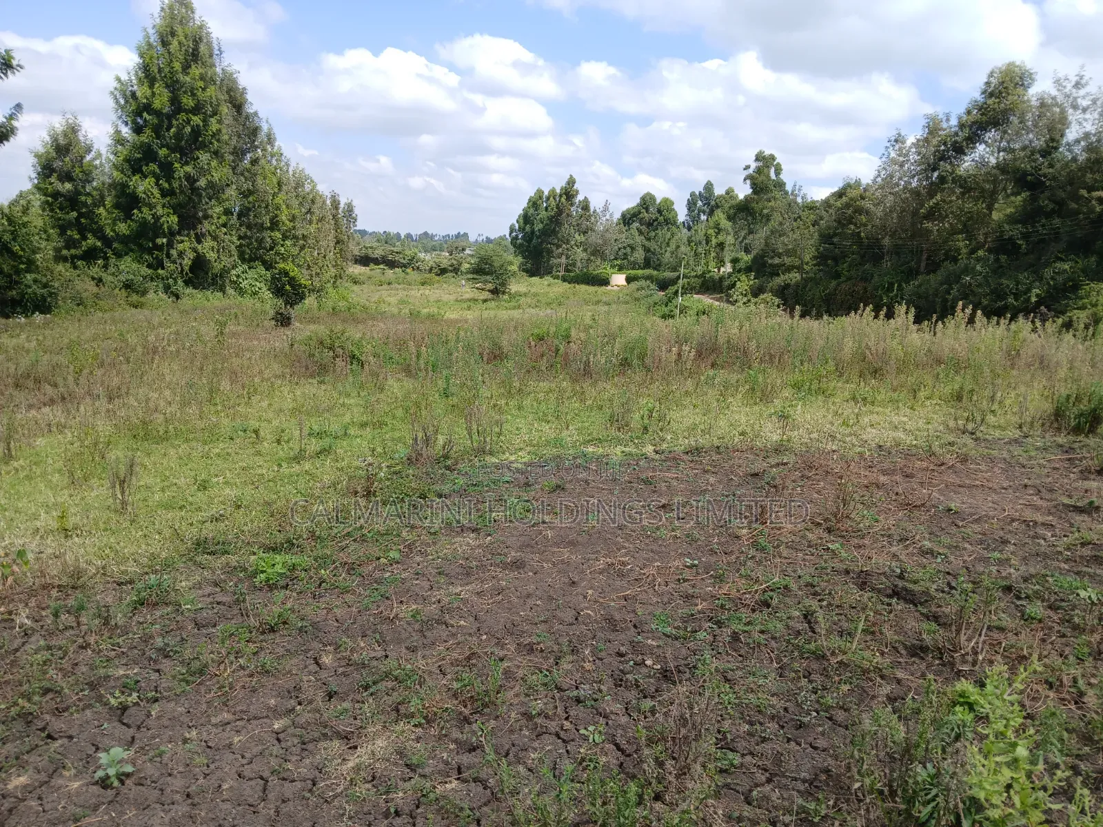 Prime Lipa Pole Pole Plots in Matasia, Ngong Near Tarmac in Matasia