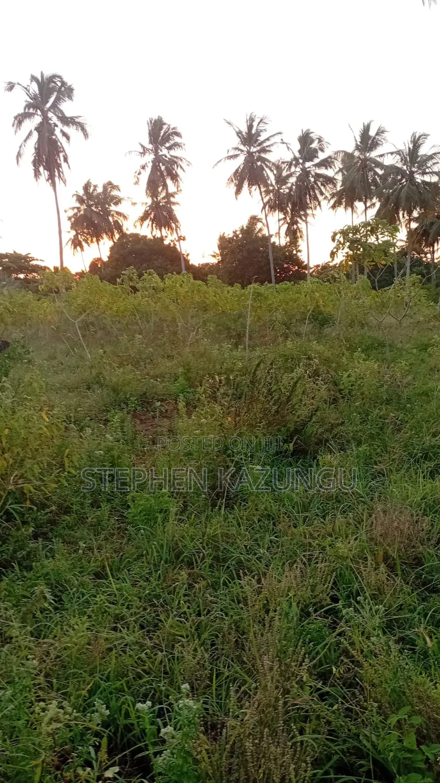 1/4 Acre Plot At Ganja La Simba, Near Kinondo Town in Ukunda