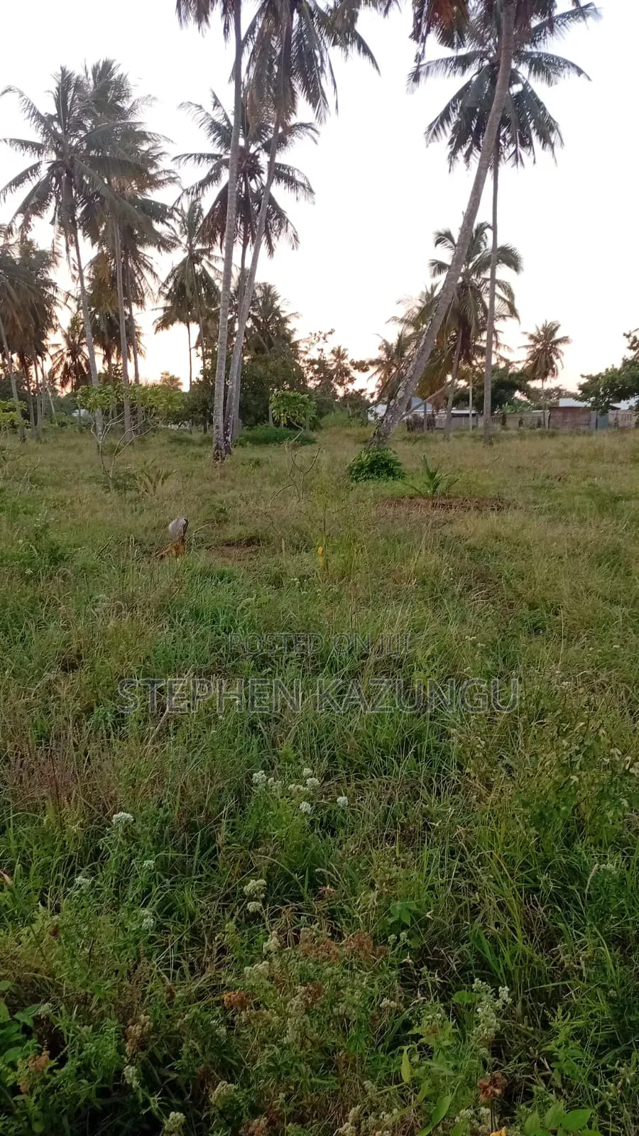 1/4 Acre Plot At Ganja La Simba, Near Kinondo Town in Ukunda