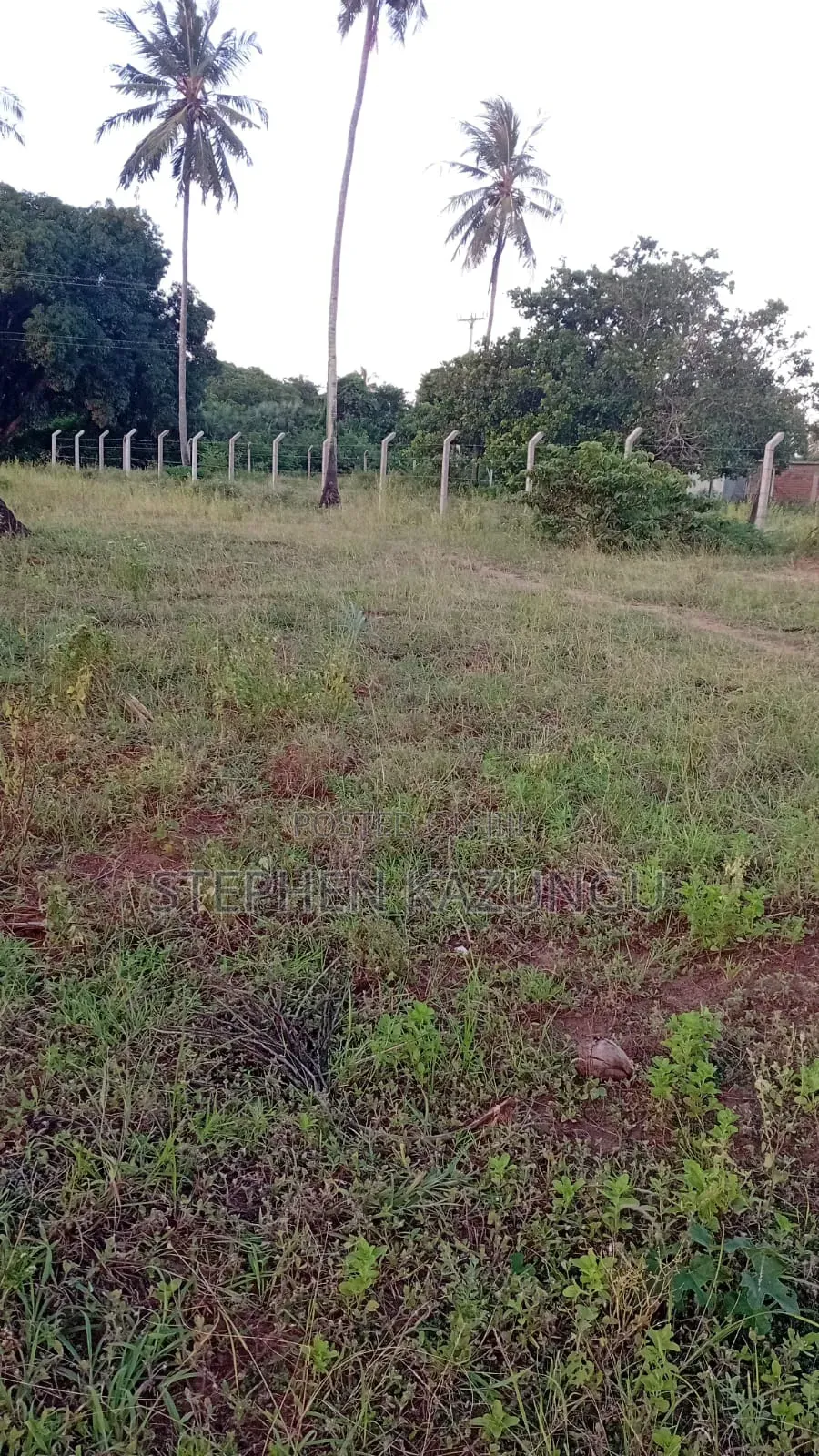 1/4 Acre Plot At Ganja La Simba, Near Kinondo Town in Ukunda