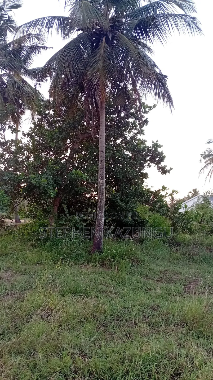 1/4 Acre Plot At Ganja La Simba, Near Kinondo Town in Ukunda